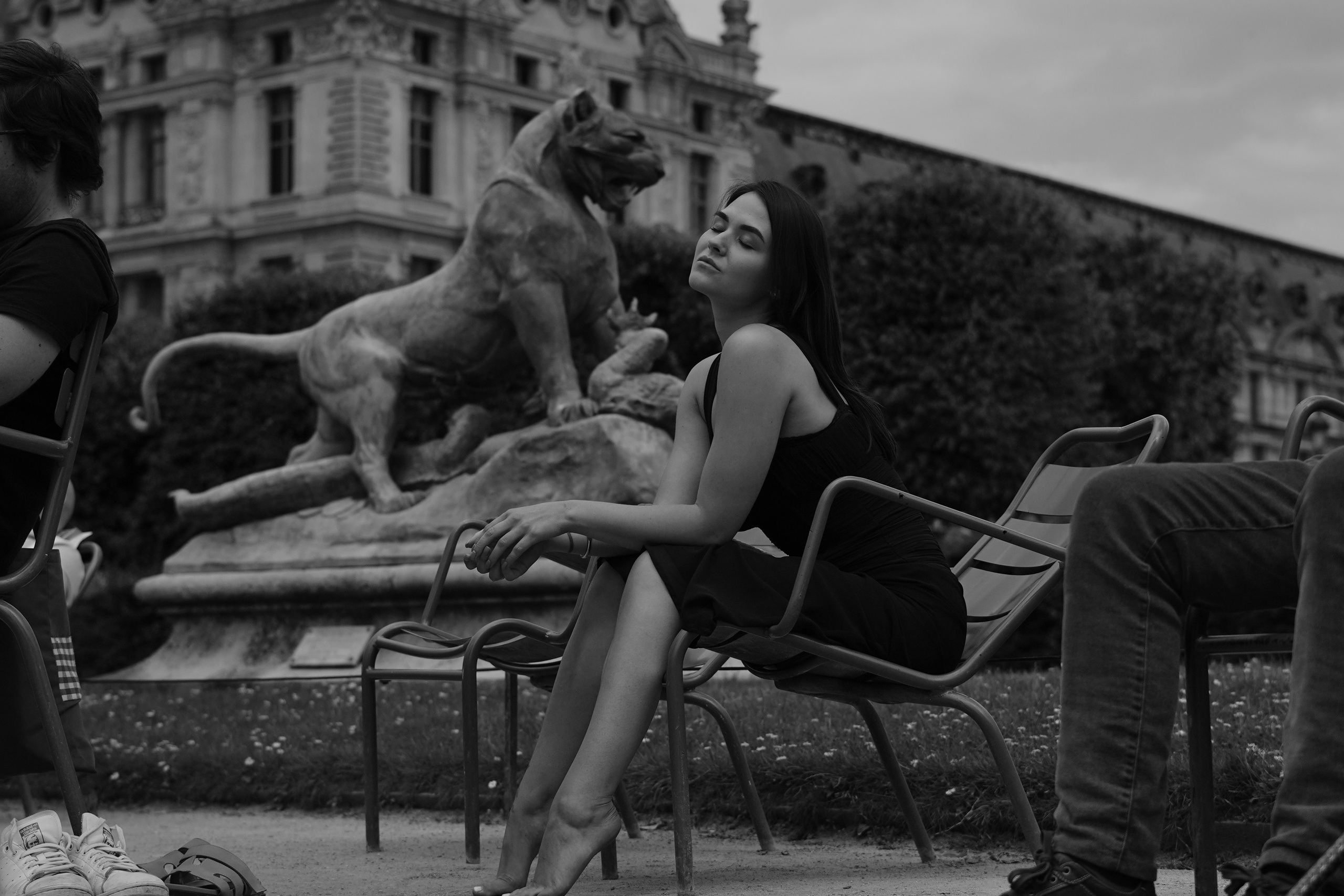 Галерея. Beardy Pix