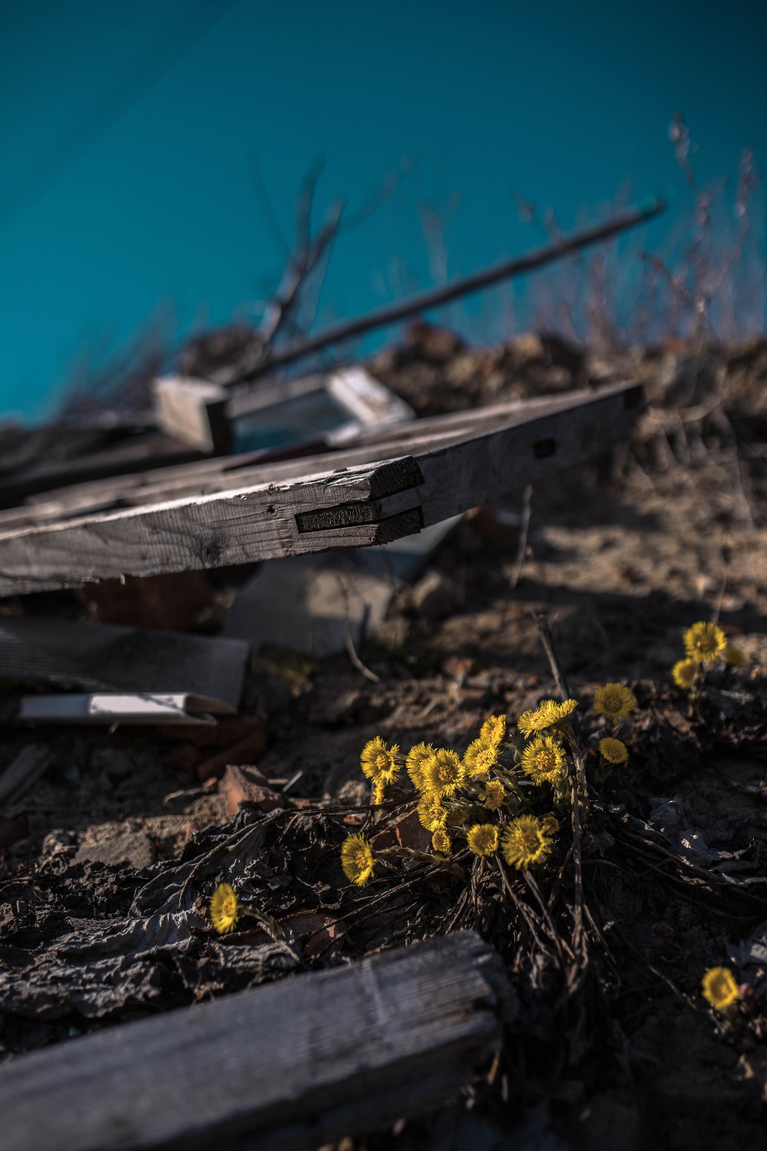 Экология. Воскресенск. Фотограф София Комкина