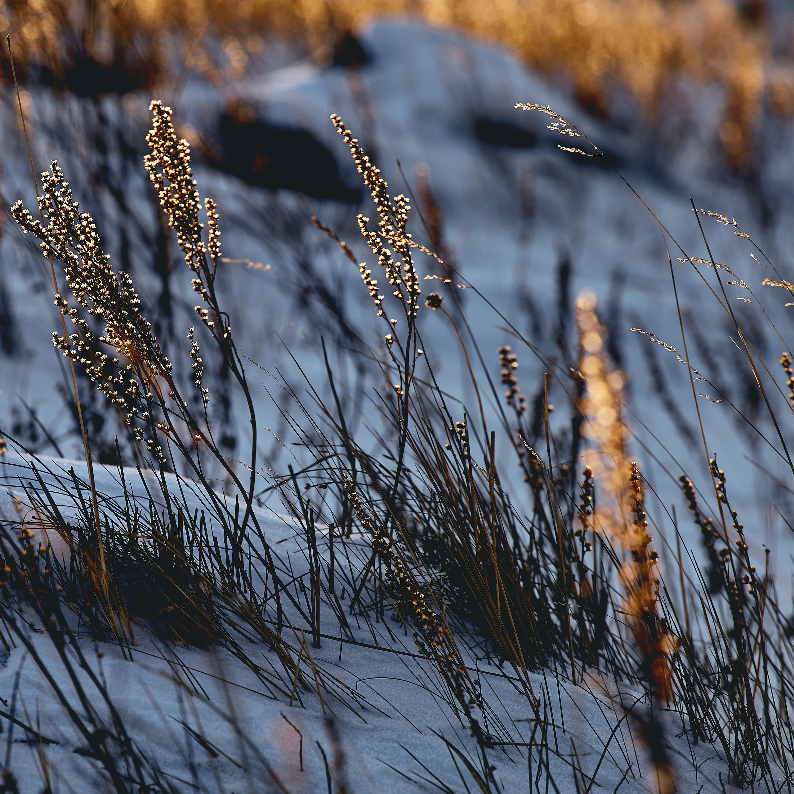 Байкал с YogaBlizko. Юлия Иванова. Фотограф для лучших моментов
