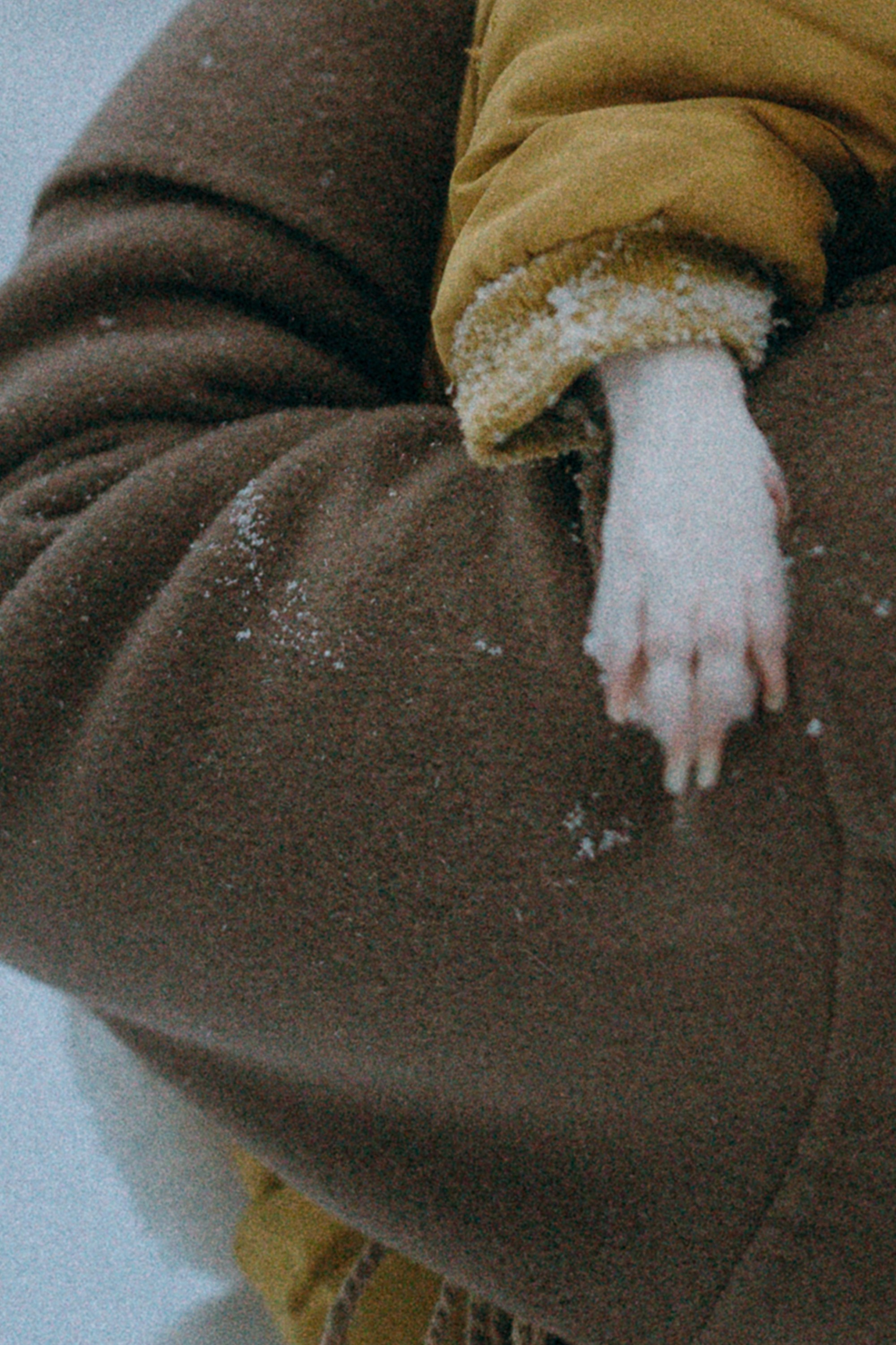 Алина, Ваниль и Элис. Фотограф анималист в Москве и Санкт-Петербурге Свиридова Анна