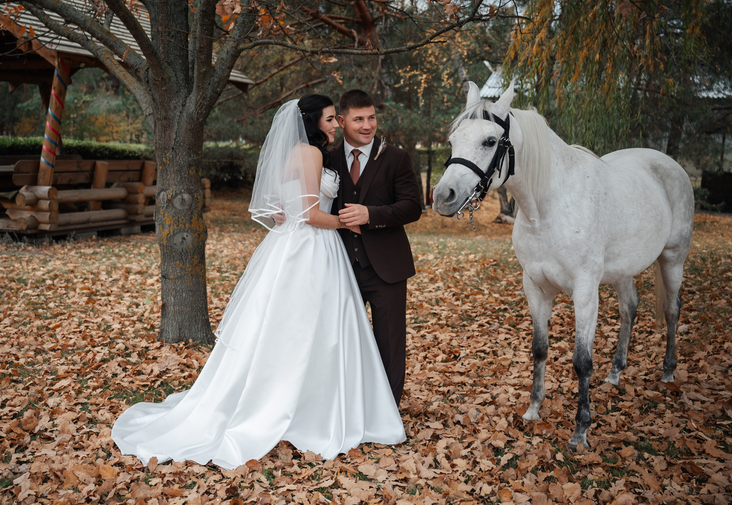 Марина Максим лошади. Фотограф Алёна Мил