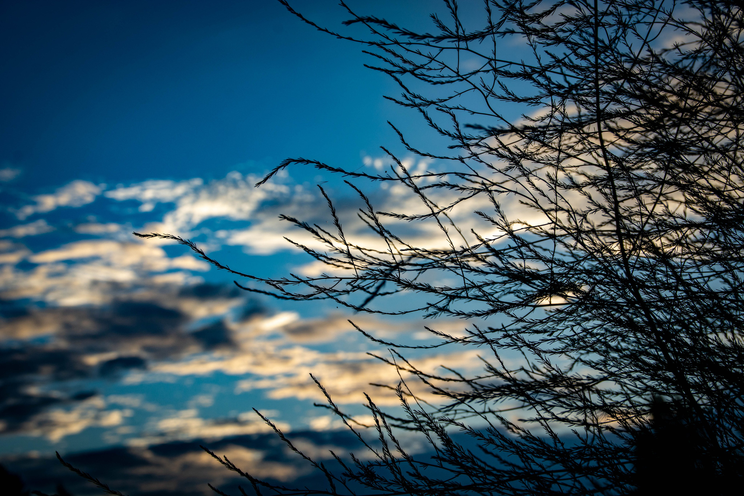 Природа в фотографии, взгляд на прекрасное через объектив фотоаппарата. Елена Волкова семейный фотограф в станице Гостагаевской города-курорта Анапа