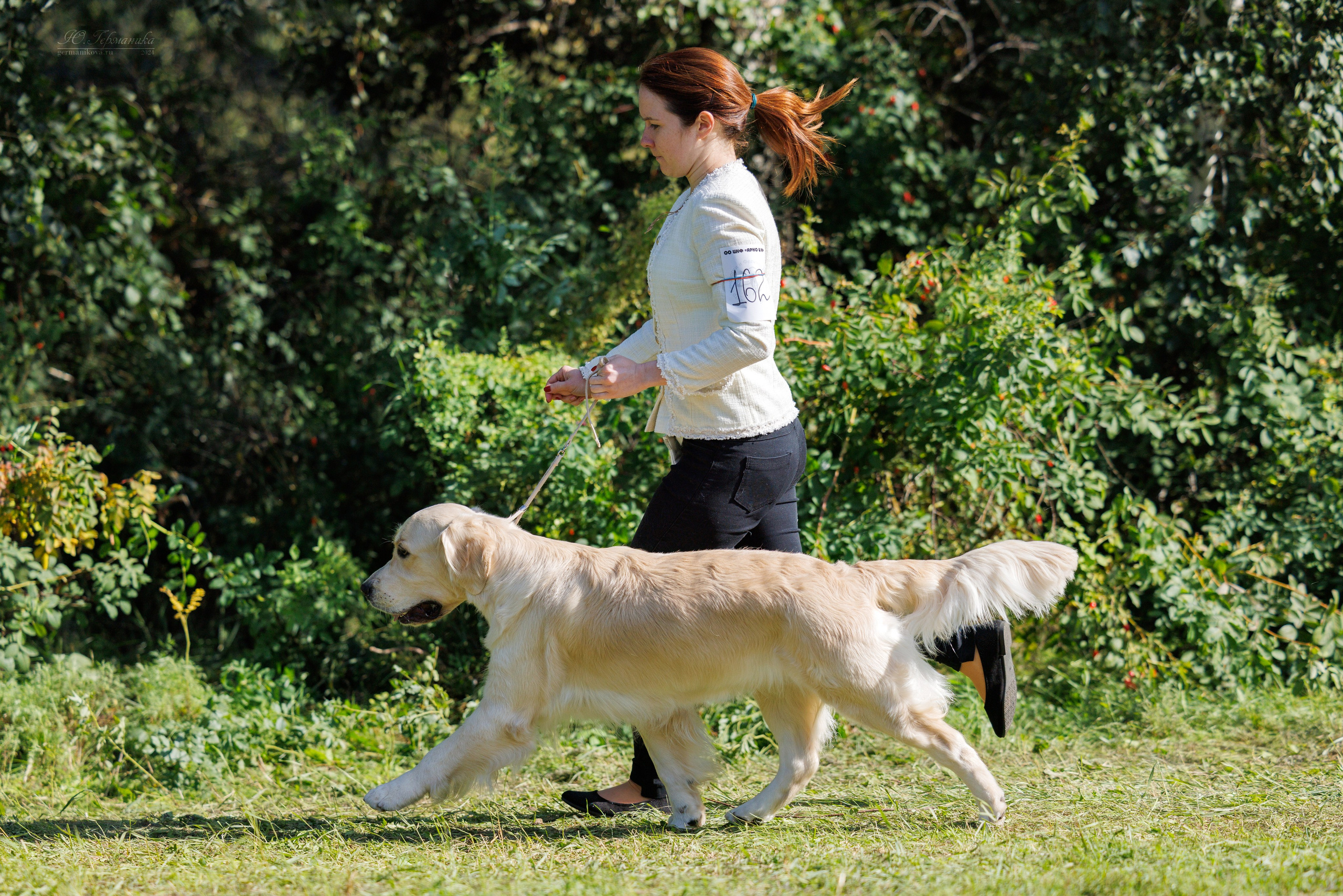 Астана 2хCACIB 17-18.08.2024. Фотограф-анималист Юлия Германика