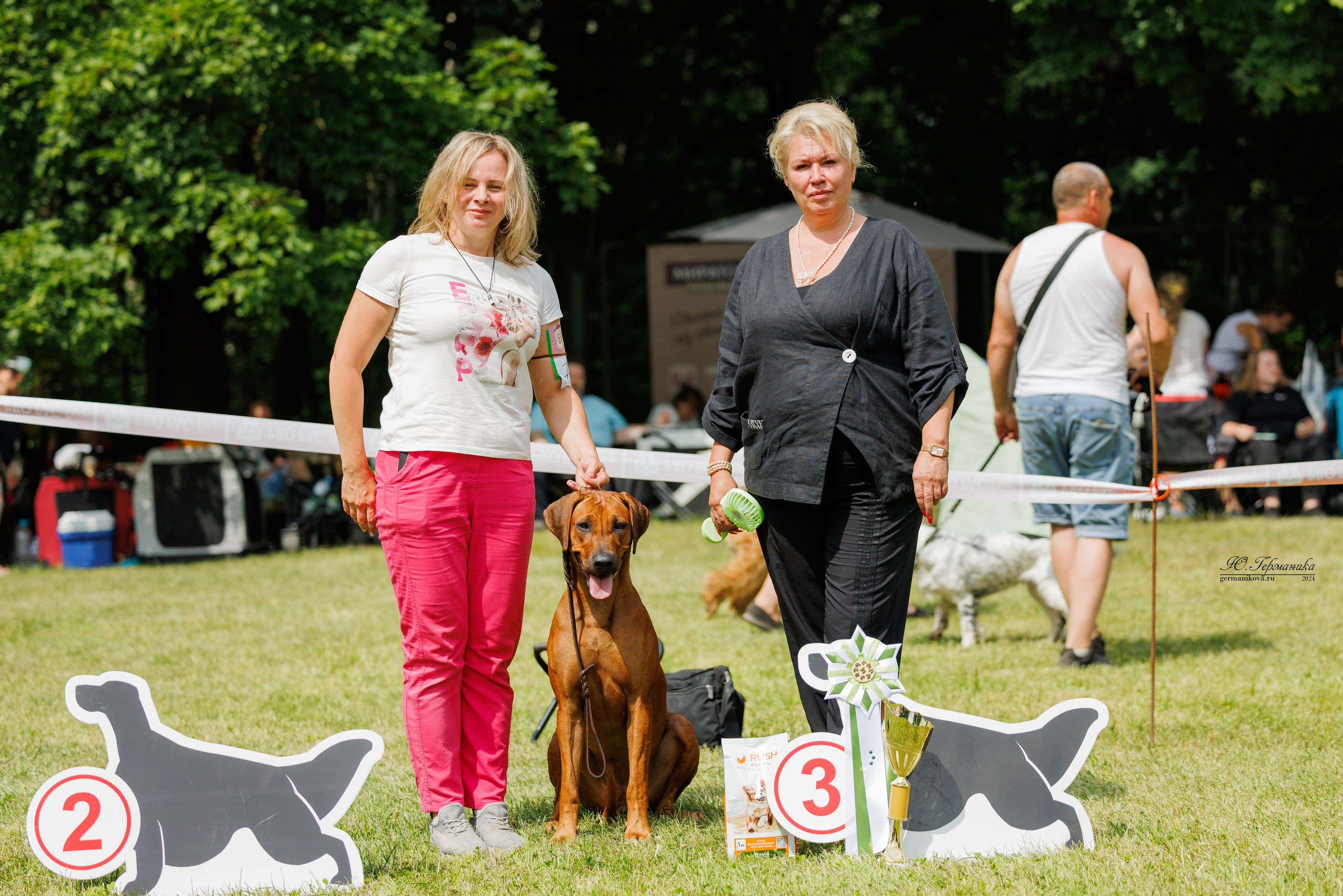 Ярославль 21.07.24 и Балашиха 13.07.24. Фотограф-анималист Юлия Германика