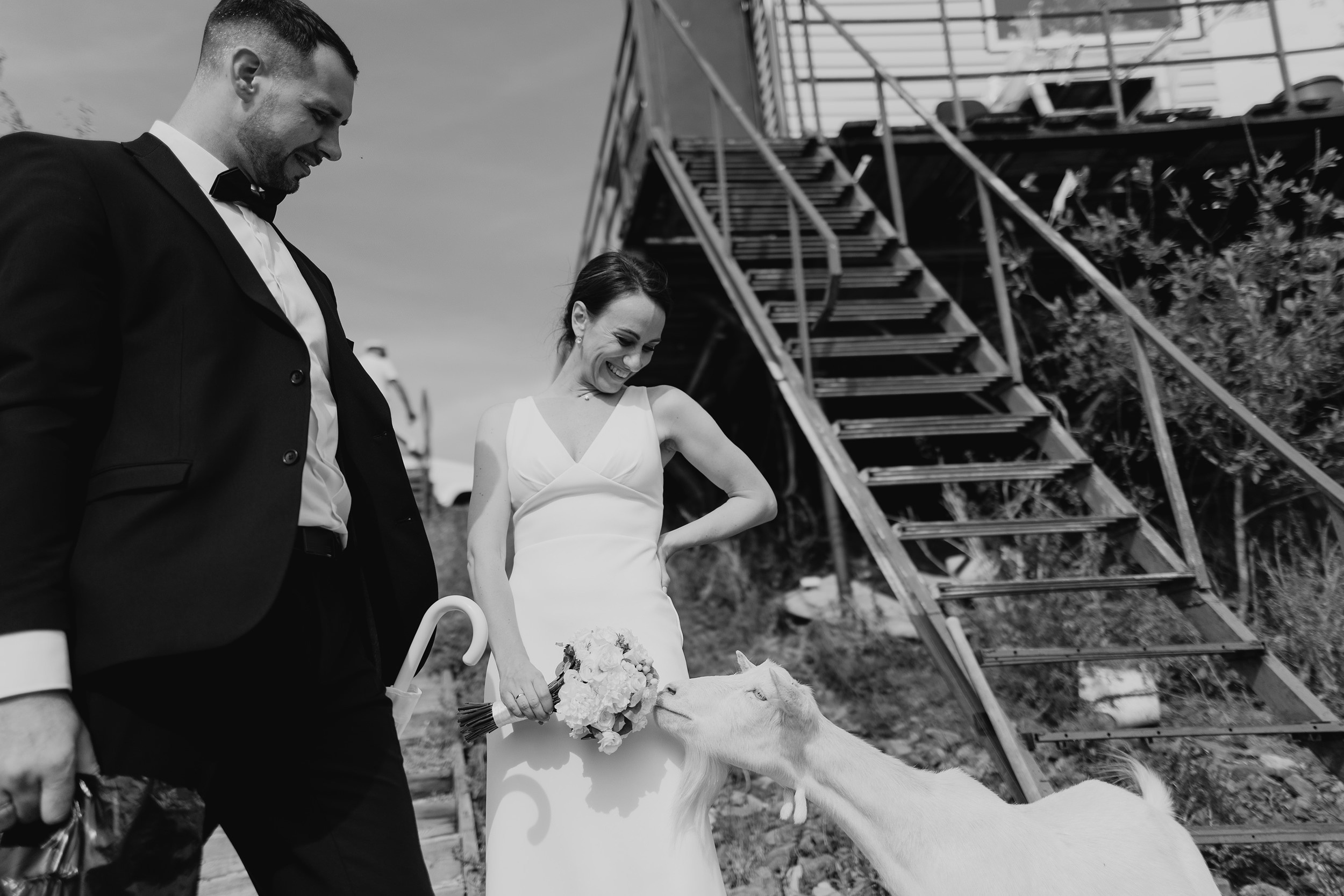 Виктор и Татьяна. Свадебный и портретный фотограф Тюмень