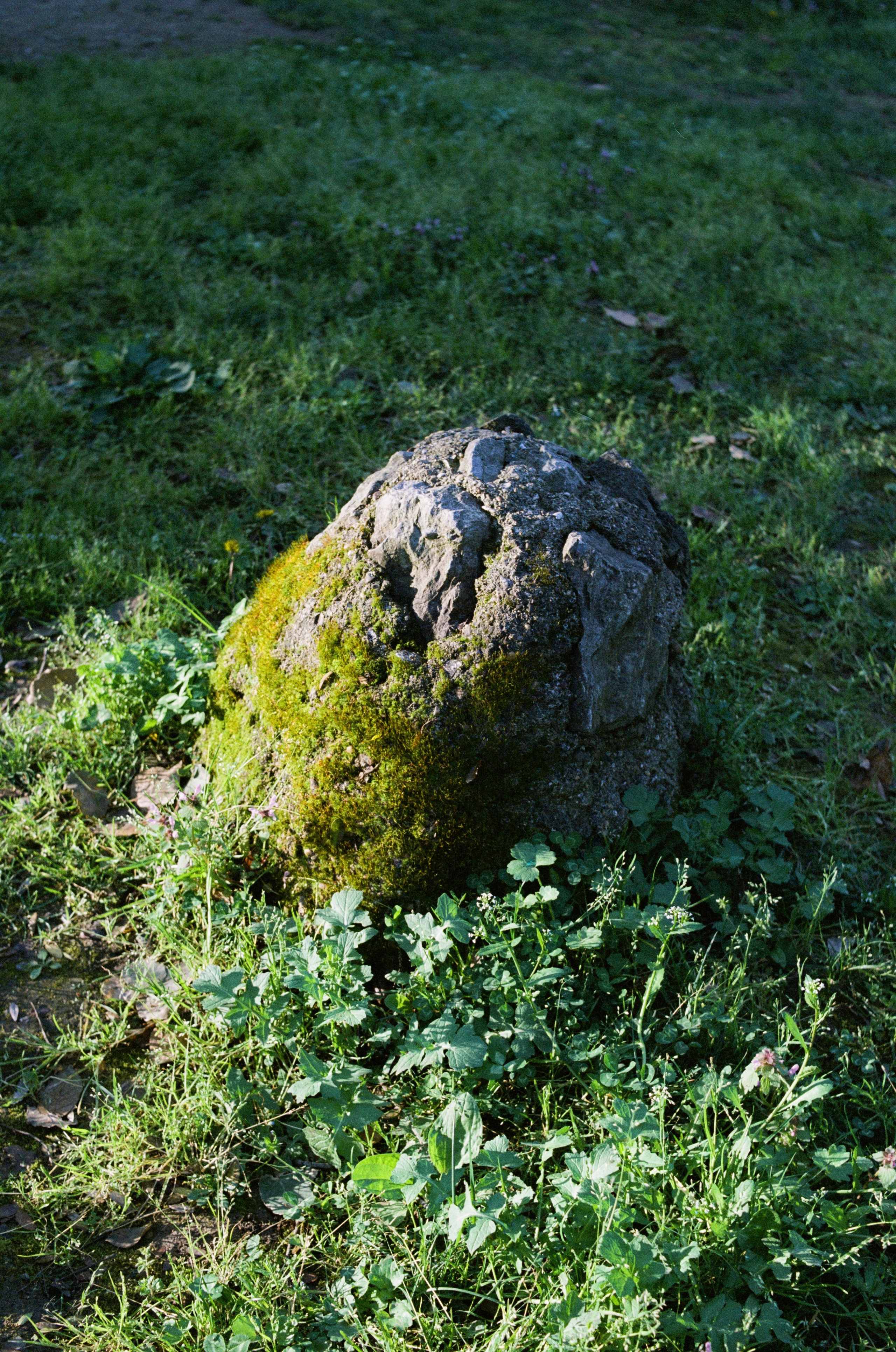 Journal. Photographer Dima Sharov | Фотограф Дима Шаров