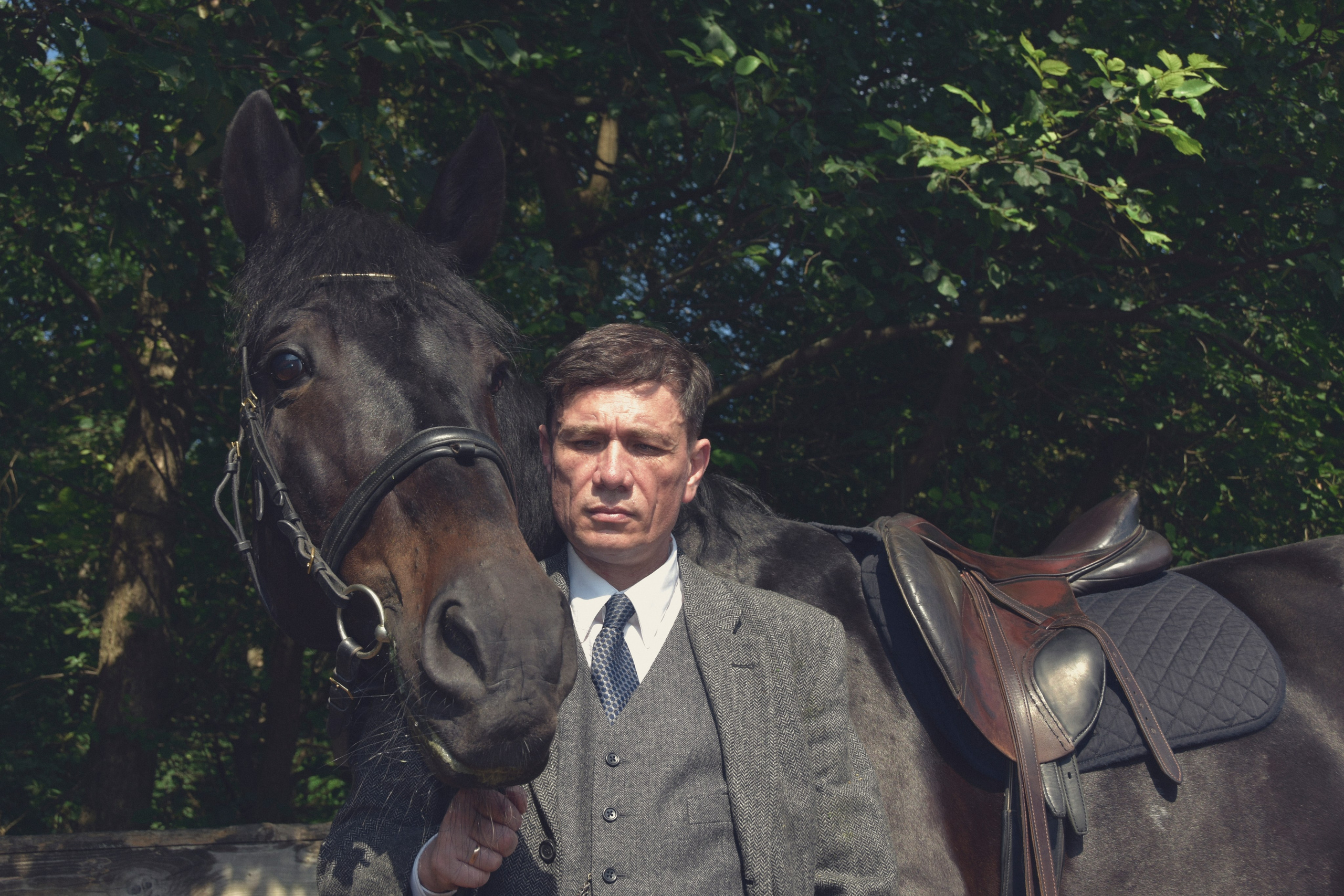 Рафаэль и Султан. Peaky Blinders. Конный фотограф Москва