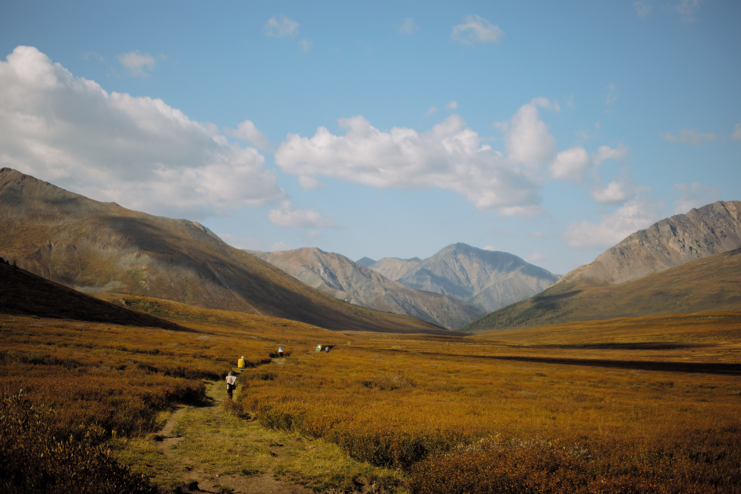 Шавлинские. Главная