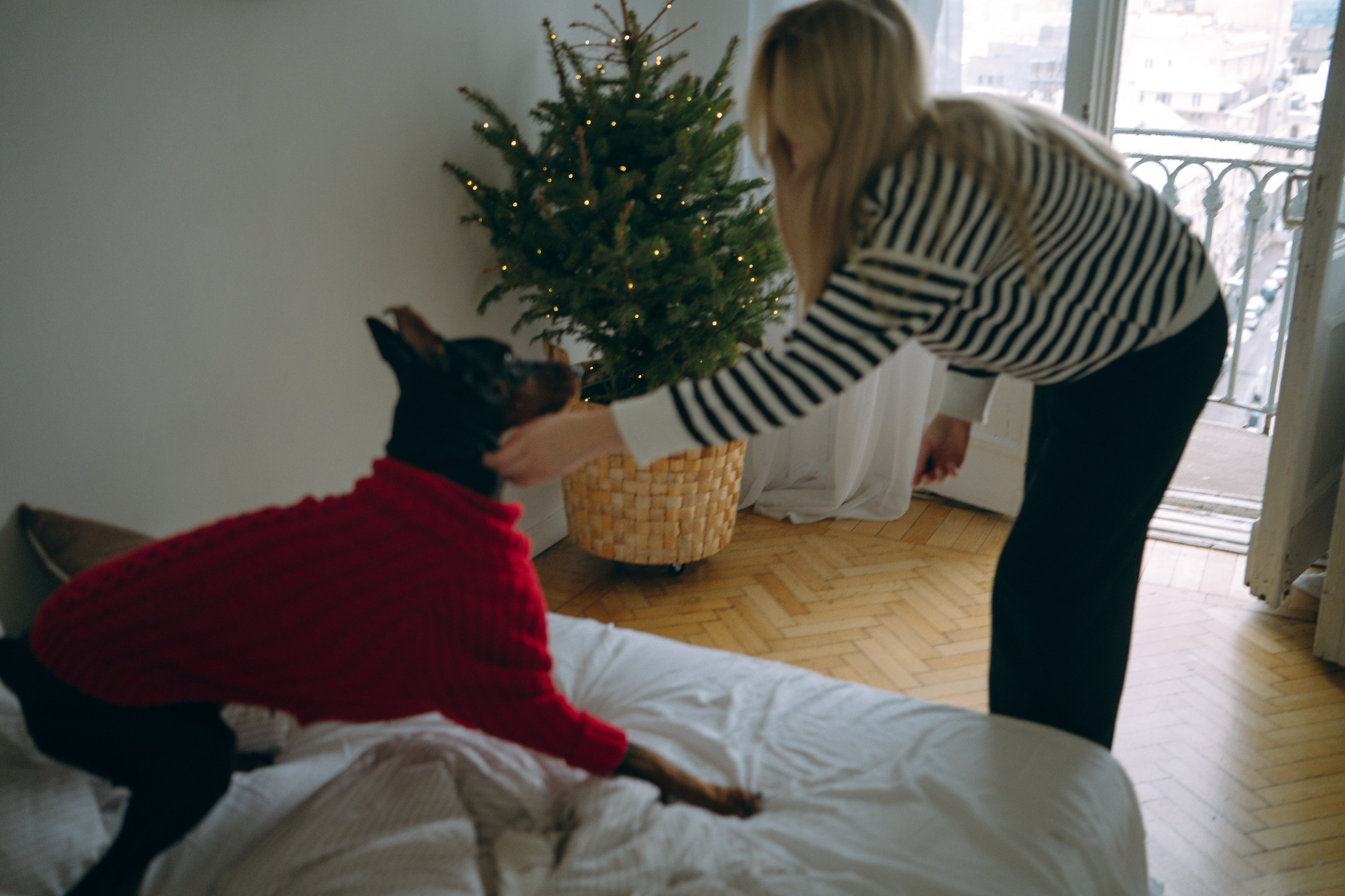 Саша и Асти. Фотограф анималист в Москве и Санкт-Петербурге Свиридова Анна