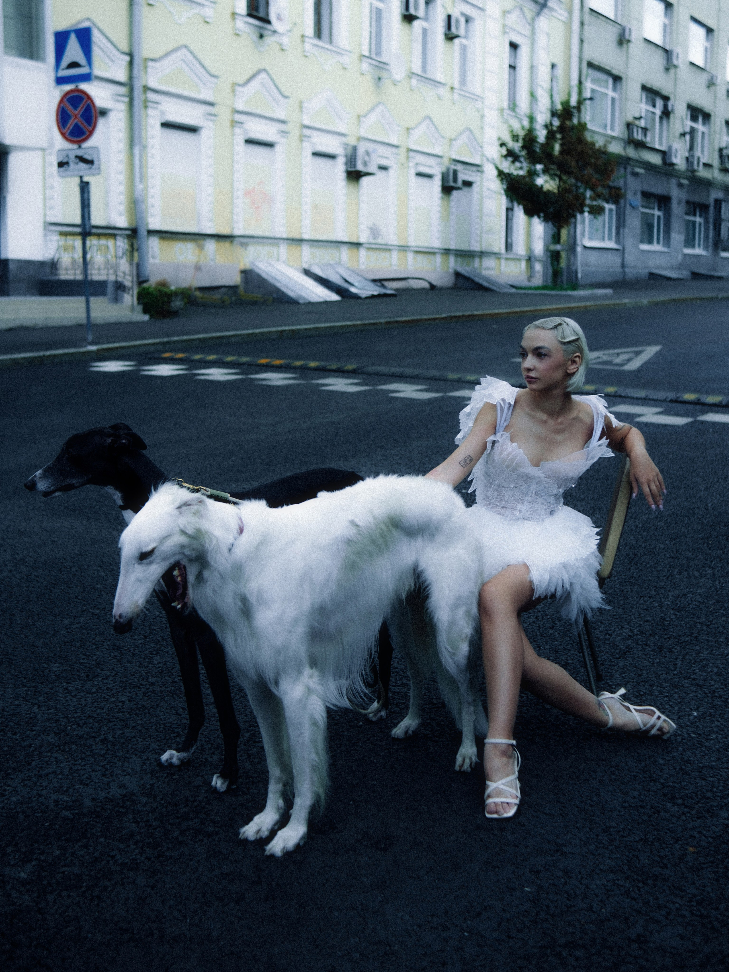 Dogbar. Dariaegudina.ru