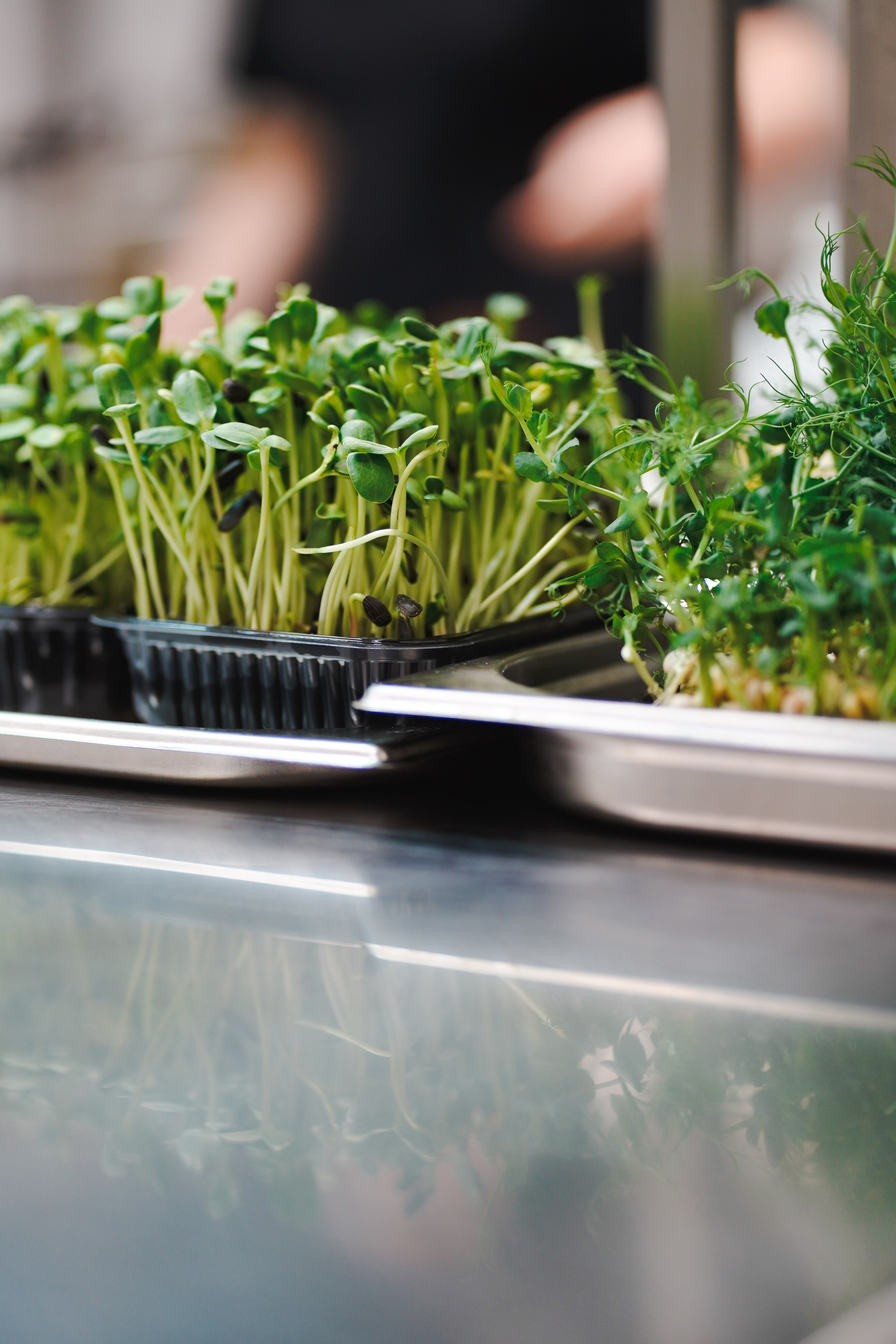 Grill Балаково. Ресурс Комлект Сервис