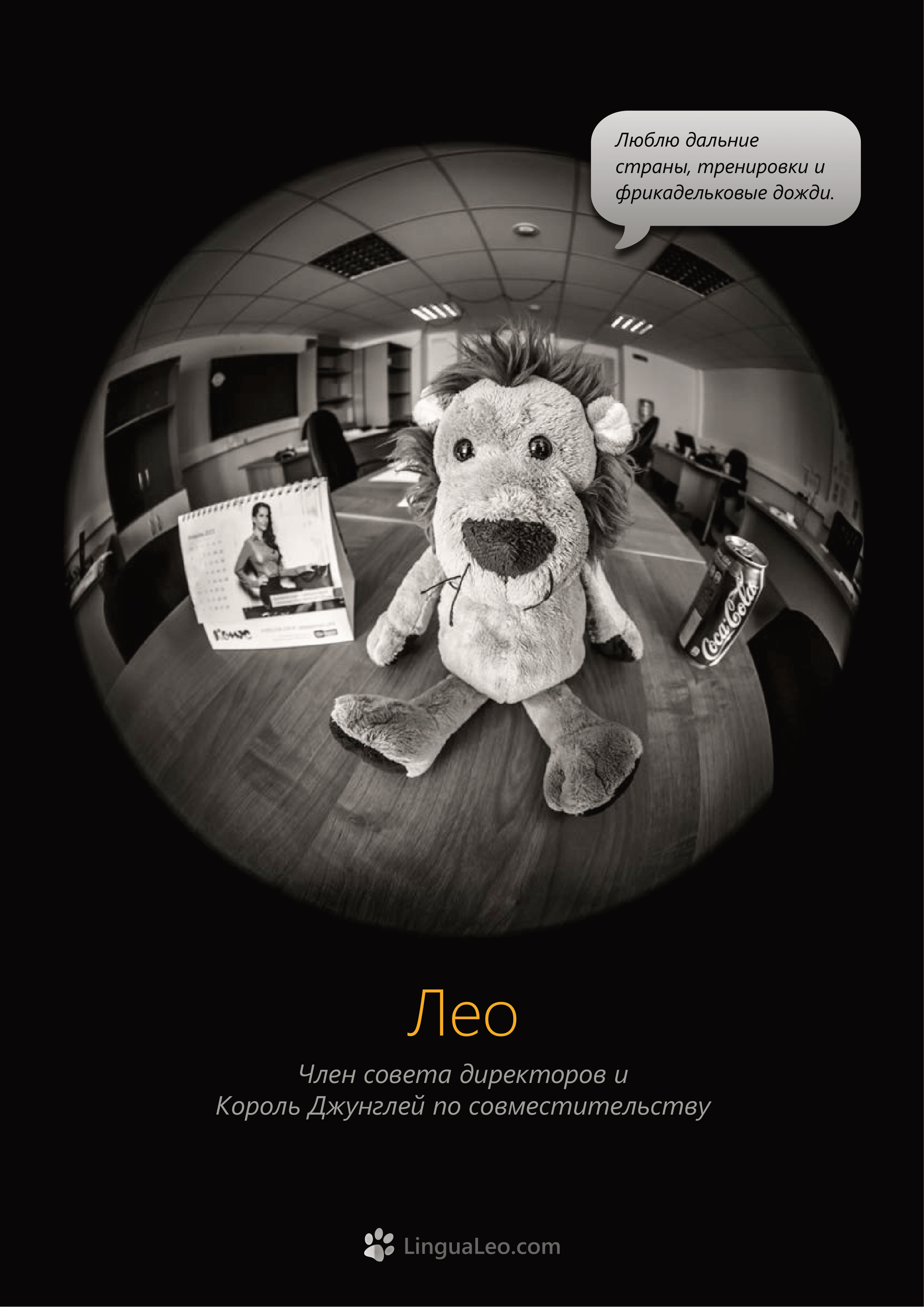 Команда Lingua Leo. Фотосъемка представлений, спектаклей и перформансов