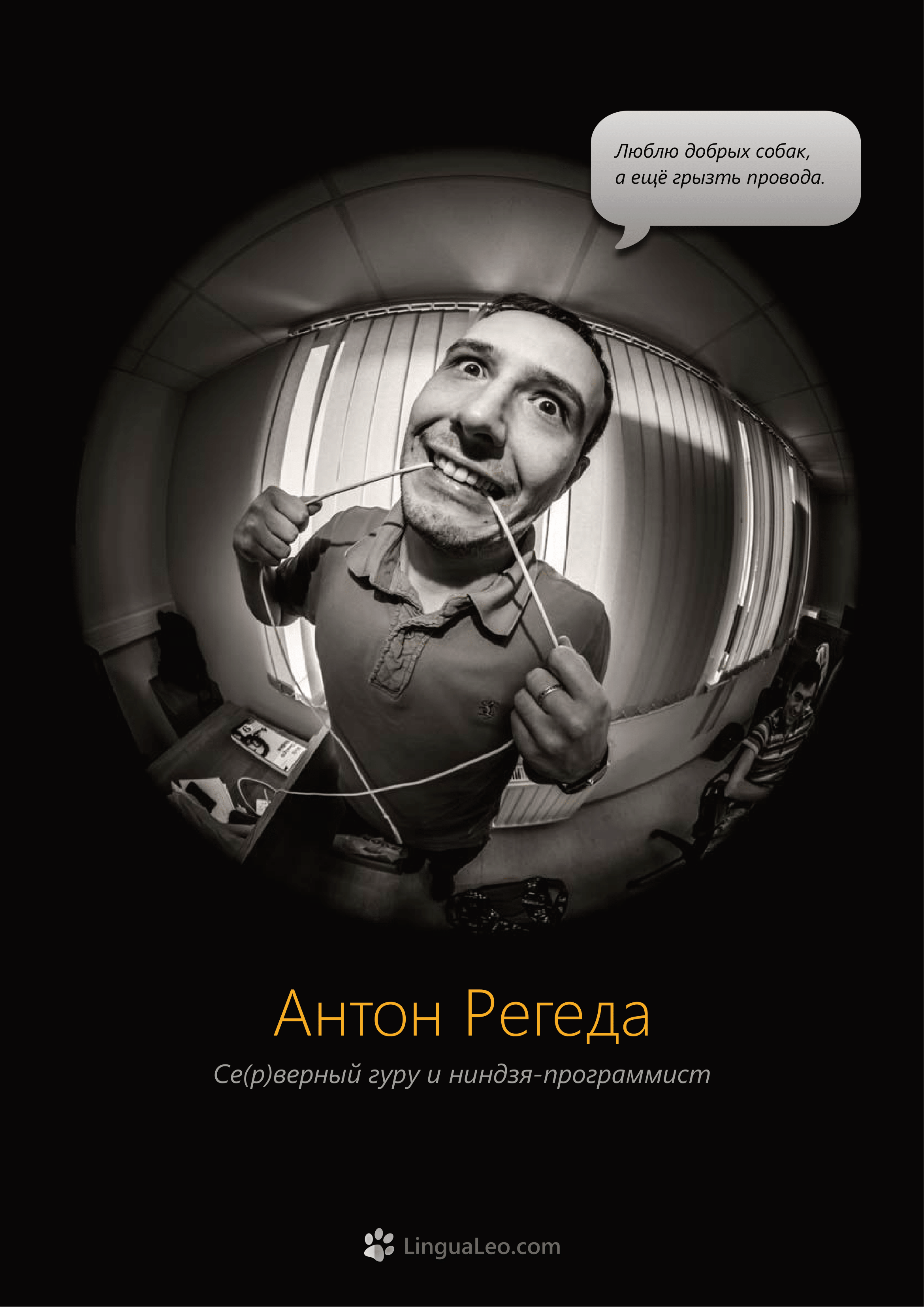 Команда Lingua Leo. Фотосъемка представлений, спектаклей и перформансов