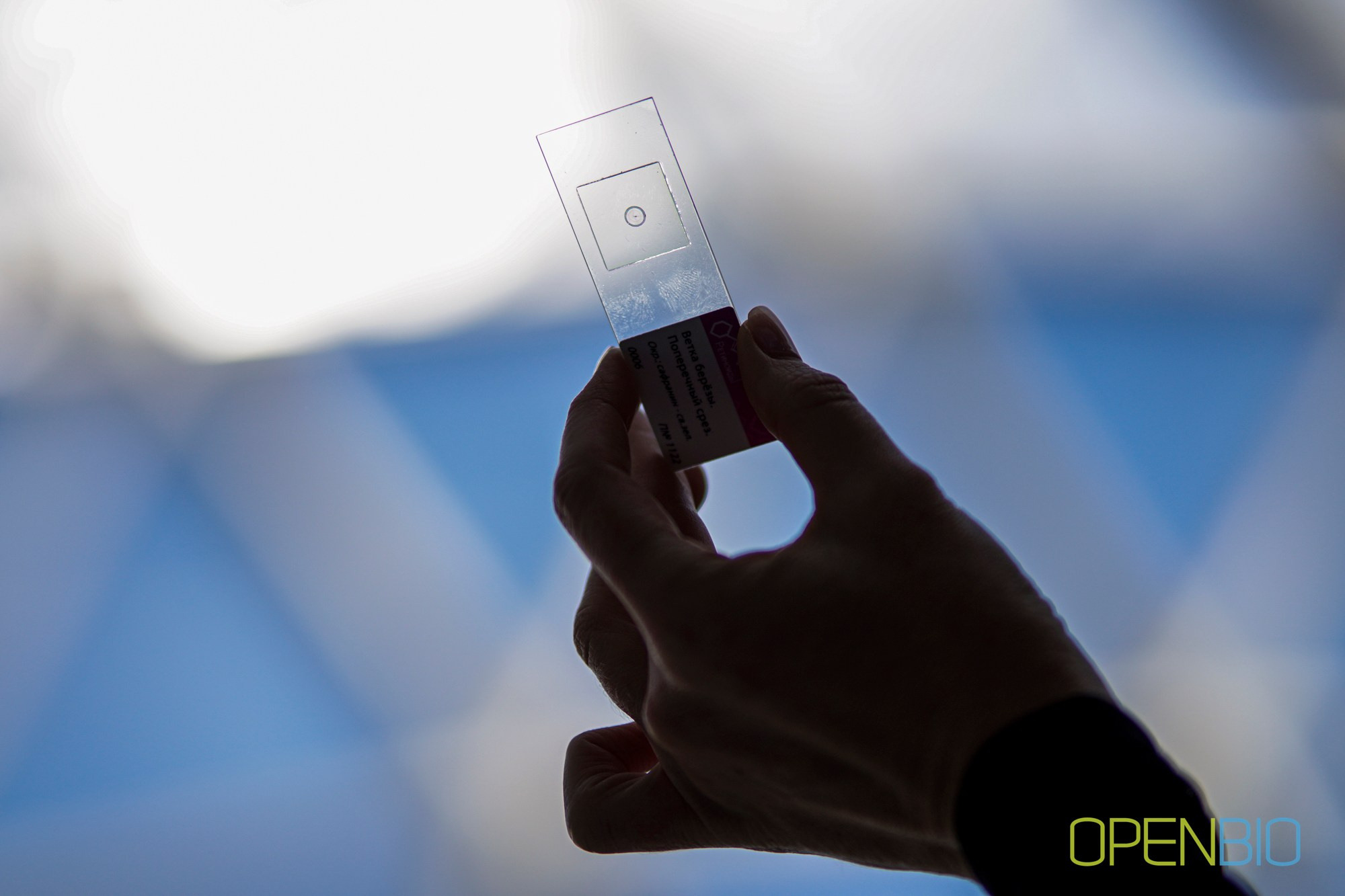 OpenBio | Форум 2024. #фотокаквкино | Фотографирую людей