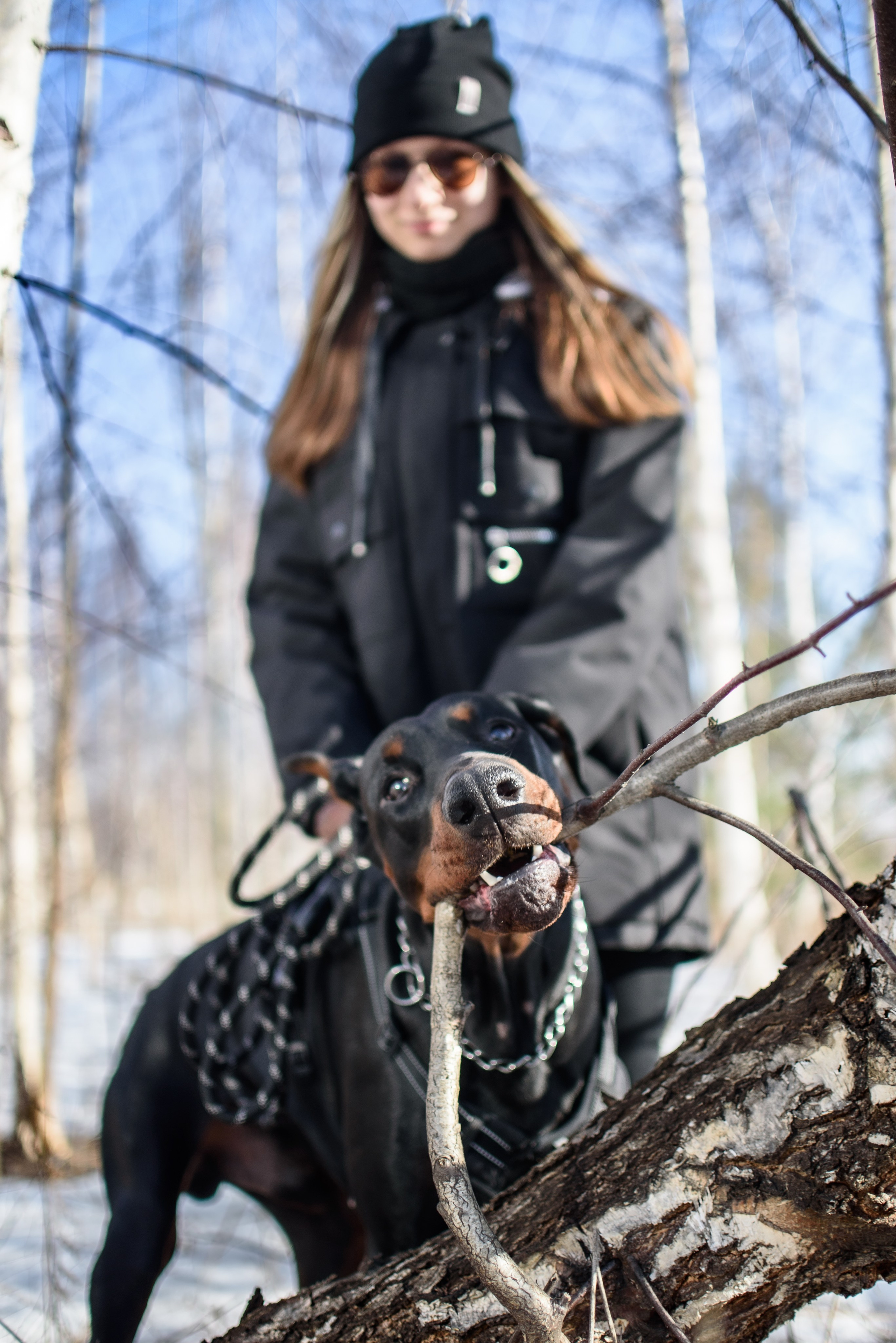 Фотосессию с любимчиком — доберманом. Фотограф Макс Огурцов в Нижнем Новгороде