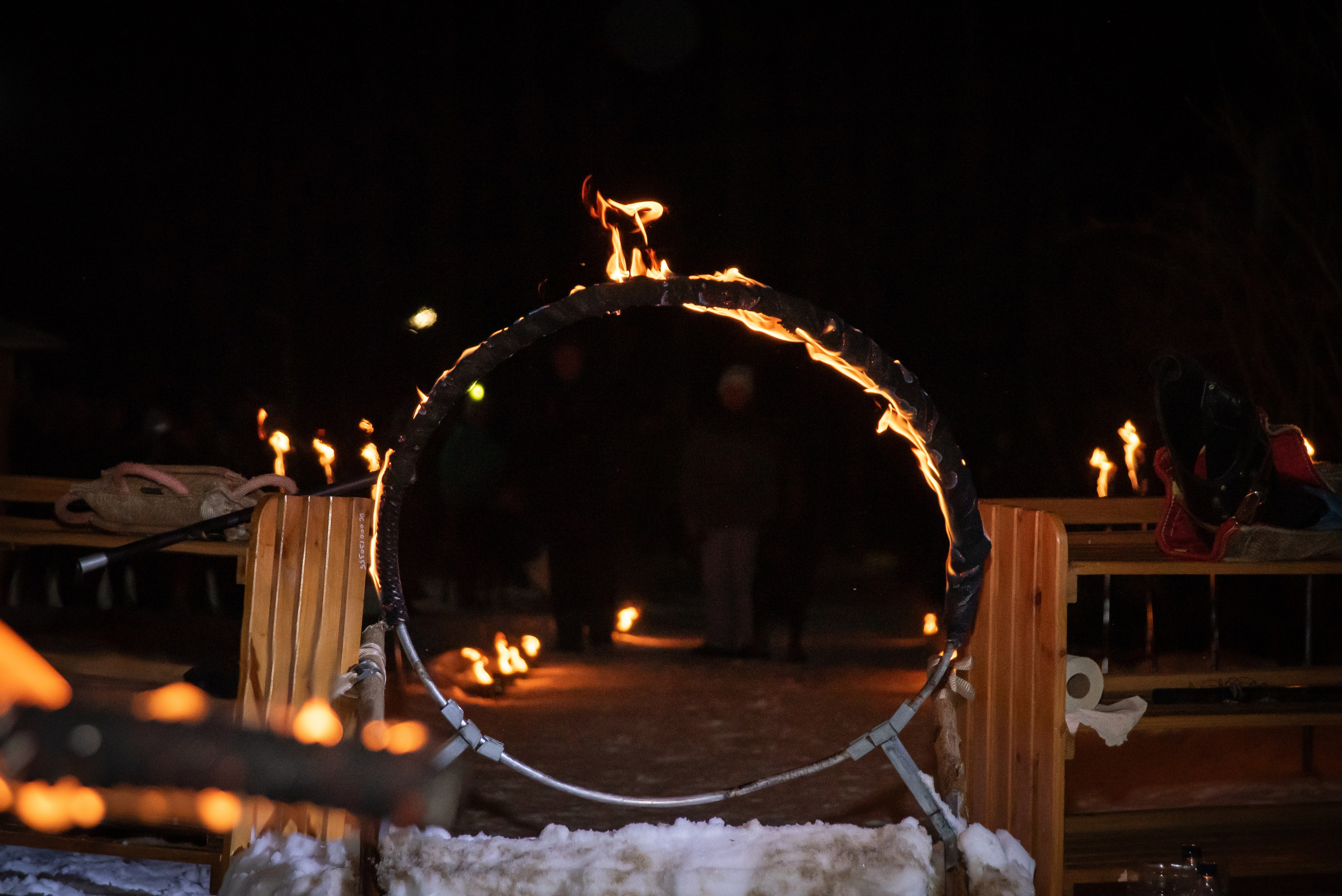 Фотосъёмка с собаками в Кинологическом лагере. Фотограф Макс Огурцов в Нижнем Новгороде