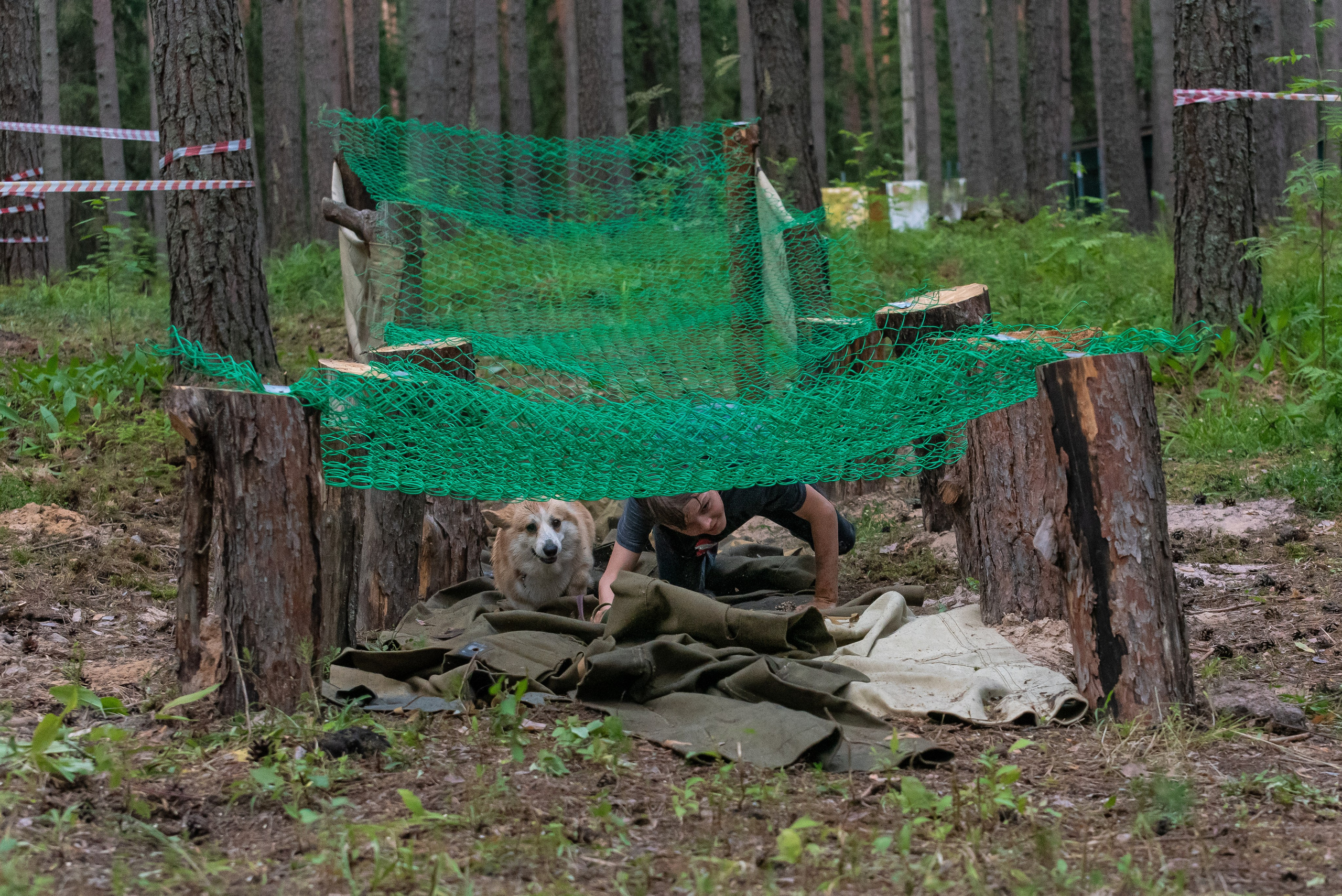Хвостатые каникулы Детский кинологический лагерь. Фотограф Макс Огурцов в Нижнем Новгороде