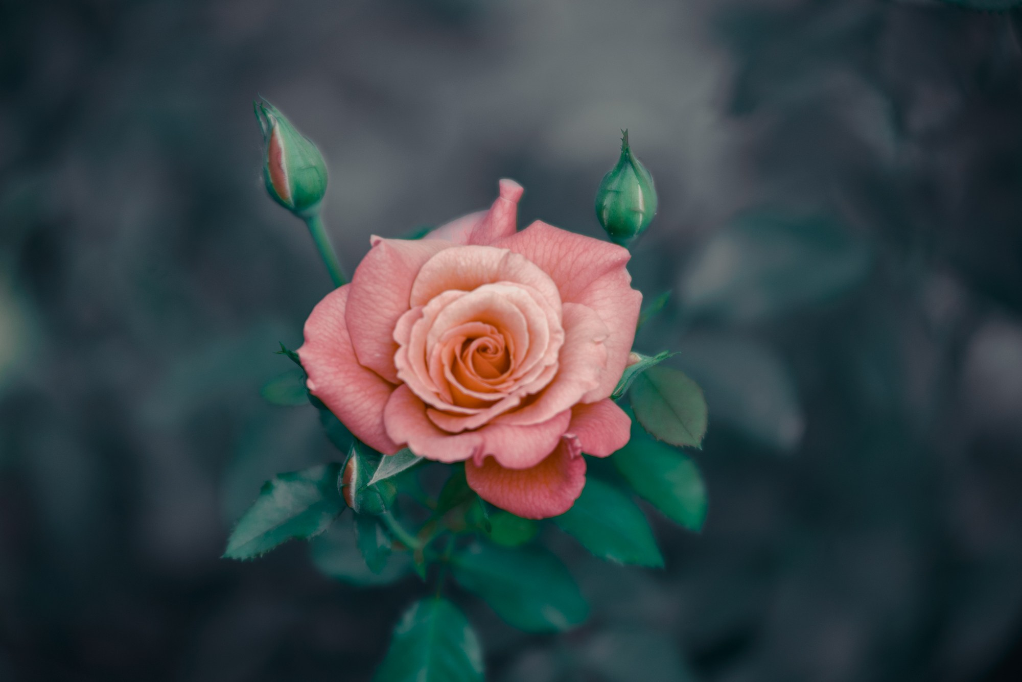 Фотограф в городе Омске Константин Зоткин