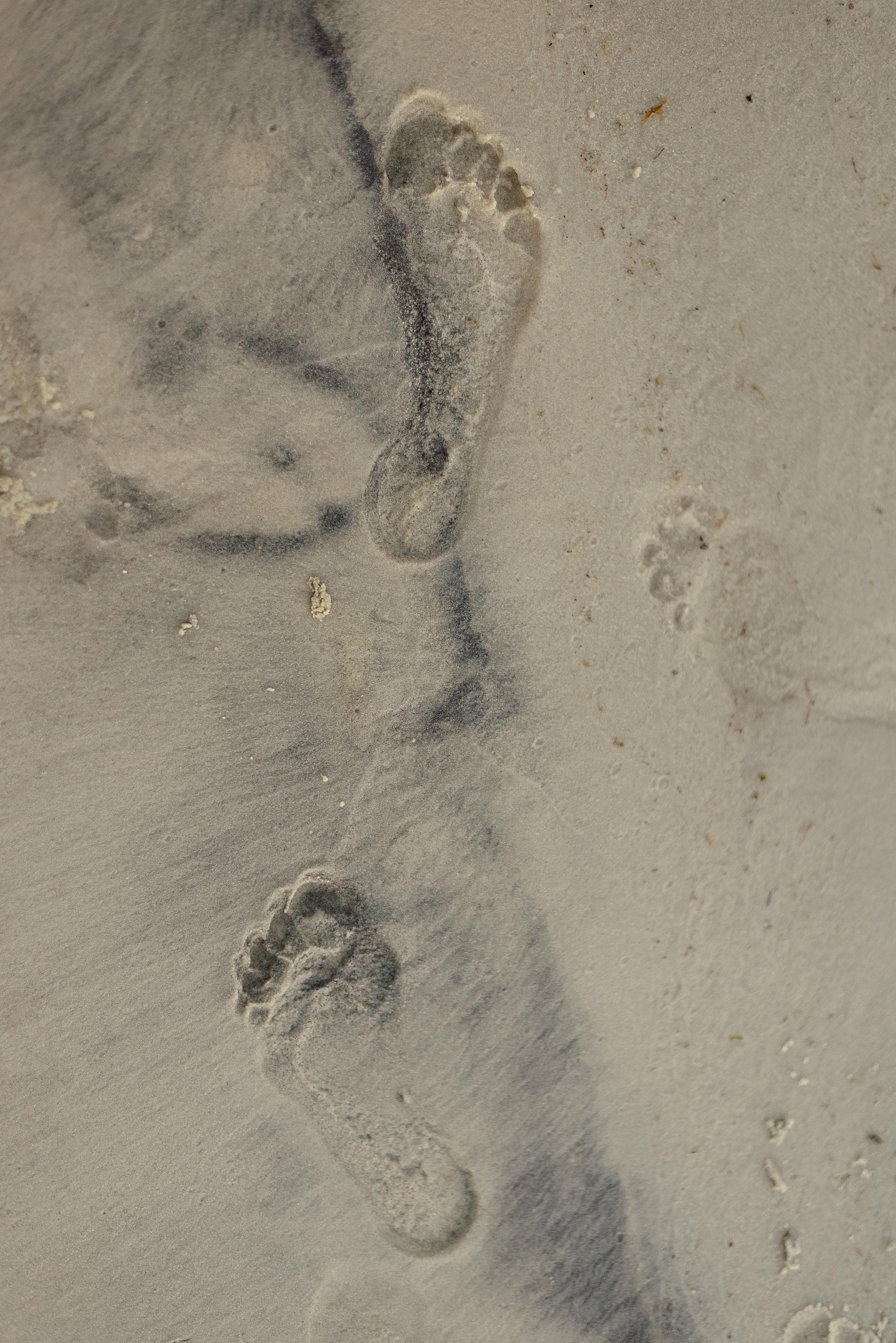 Жемчужная свадьба Игоря и Ольги. Свадебный фотограф в Белгороде Косилов Денис