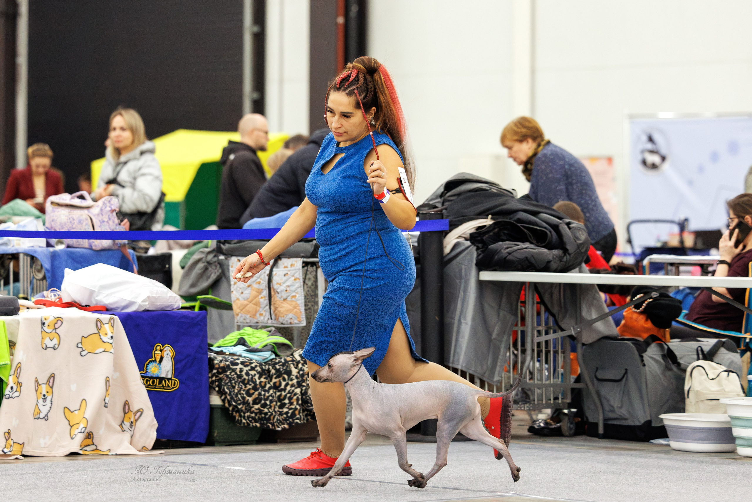 Питер 12-13.12.2025. Фотограф-анималист Юлия Германика