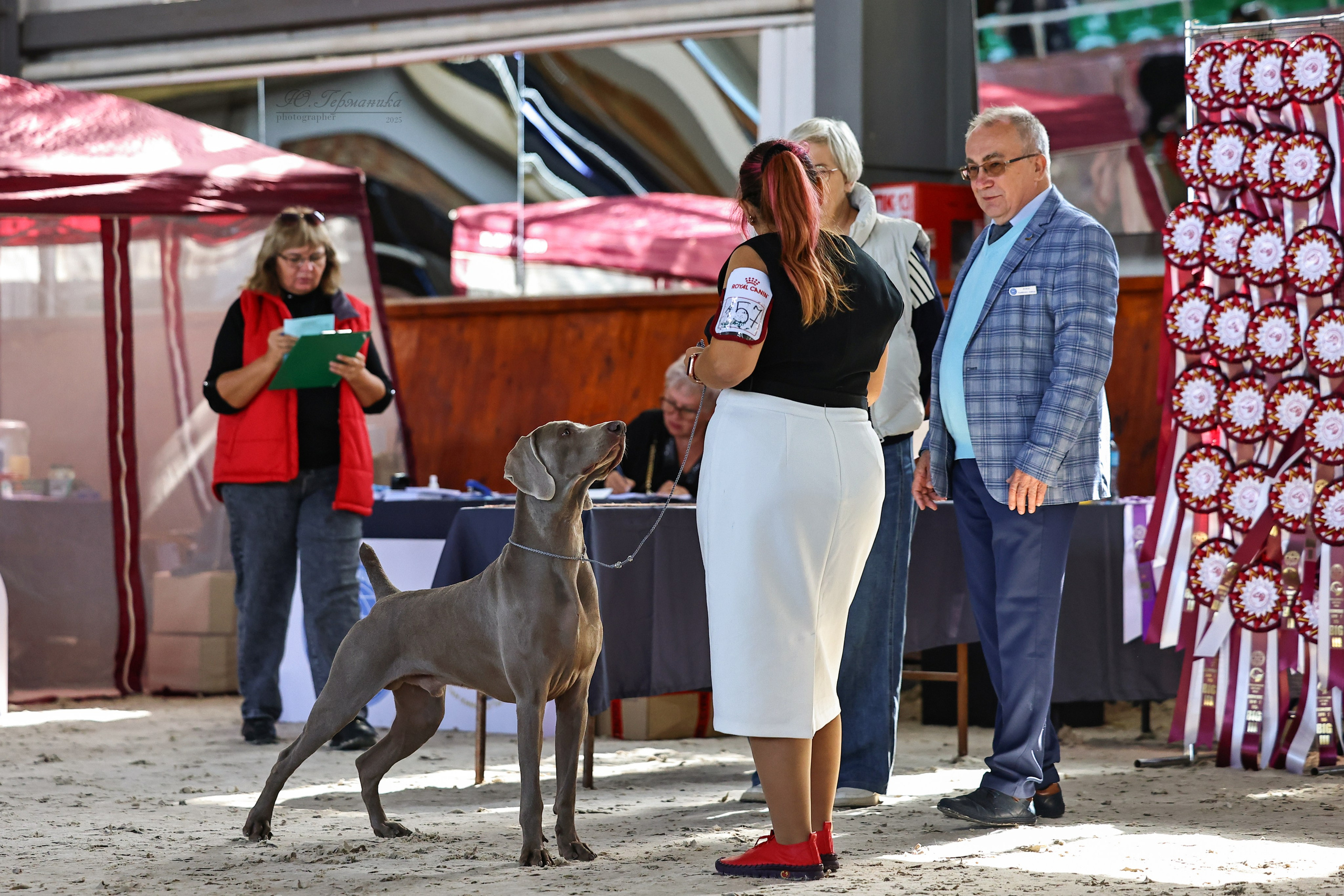 Астана 2хCACIB 26-28.09.2025. Фотограф-анималист Юлия Германика