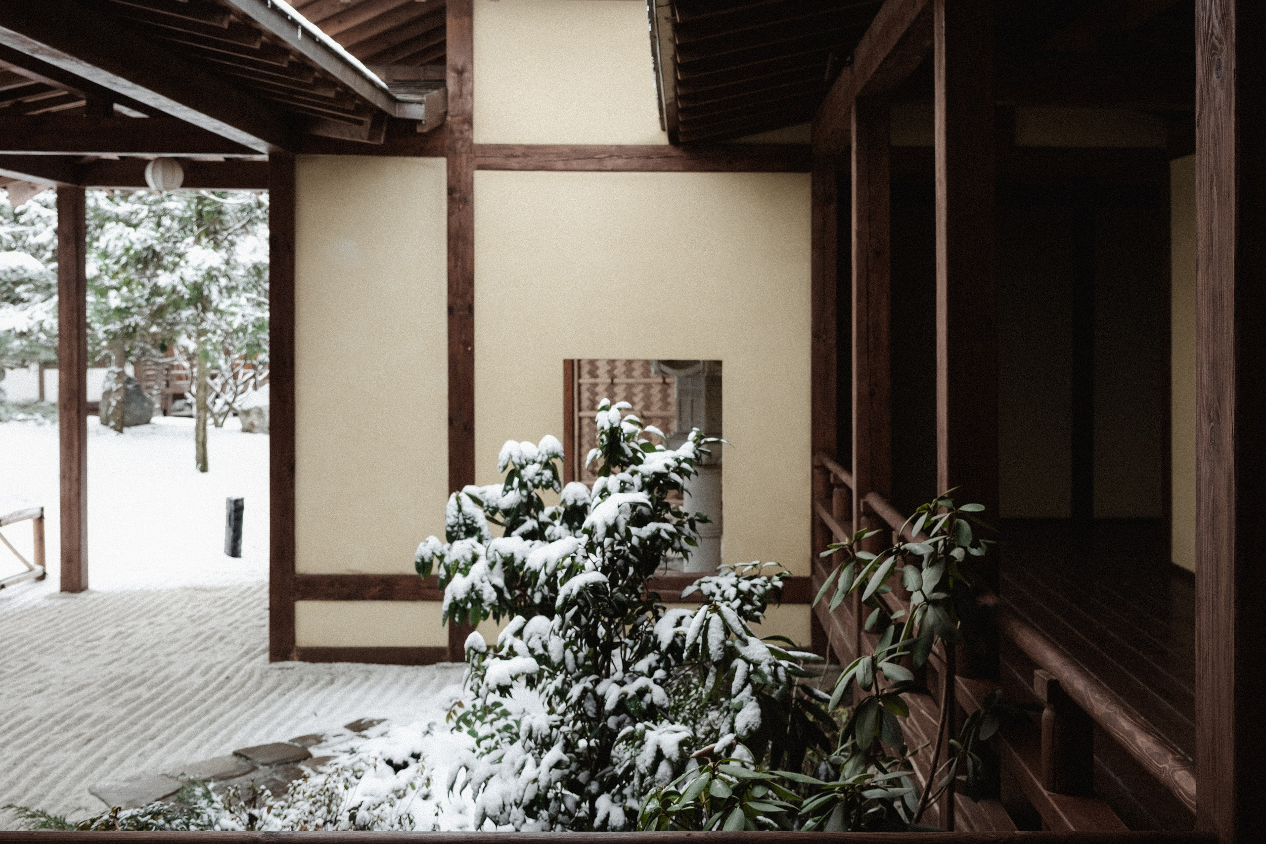 Japanese Garden in Krasnodar. Ekaterina Symidi. Interior Photographer