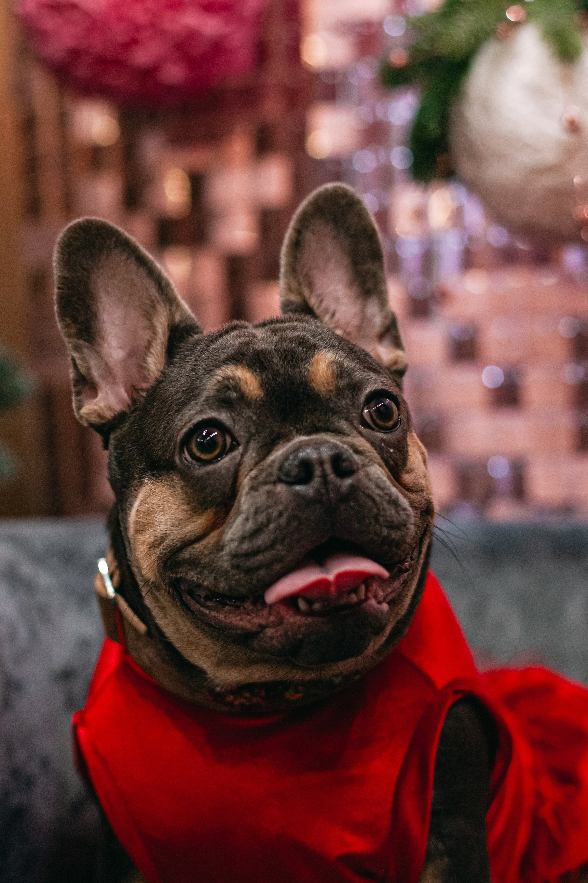 Бульёлка 2024. Фотограф-анималист Татьяна Степанова