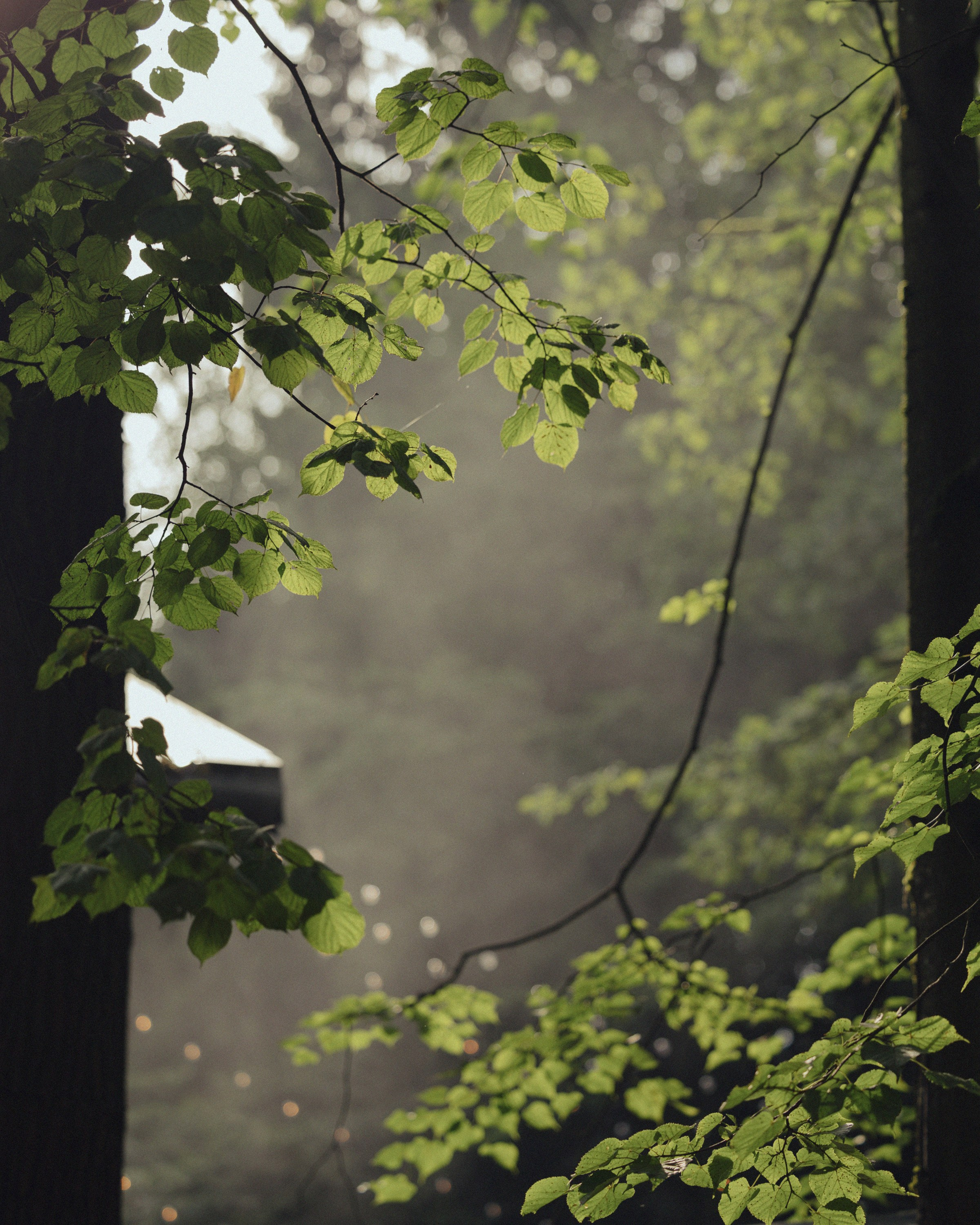 Металлика. Свадебный фотограф в Москве Александр Рыжков