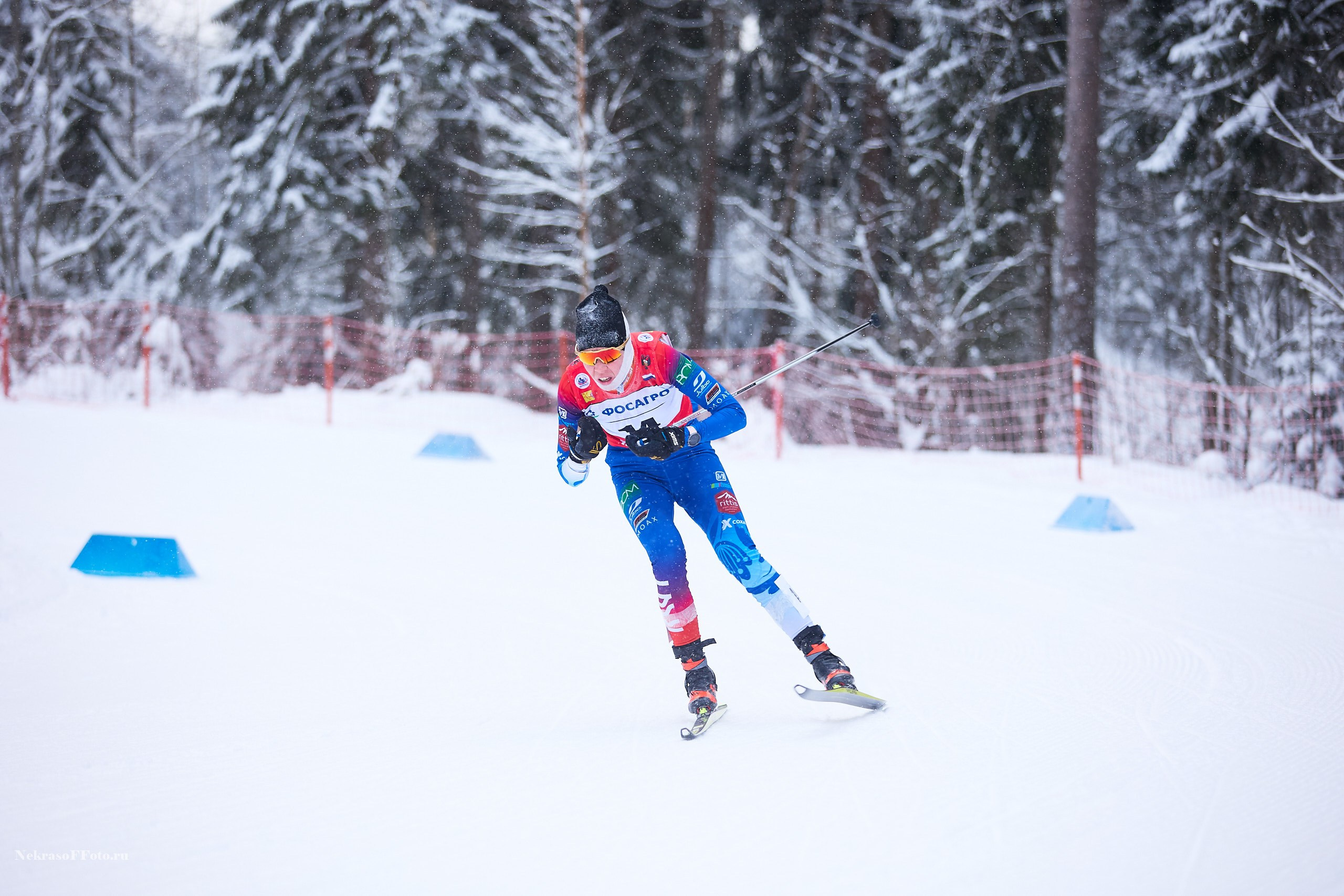 Кубок России по Лыжным гонкам. Спортивный фотограф Некрасов Денис