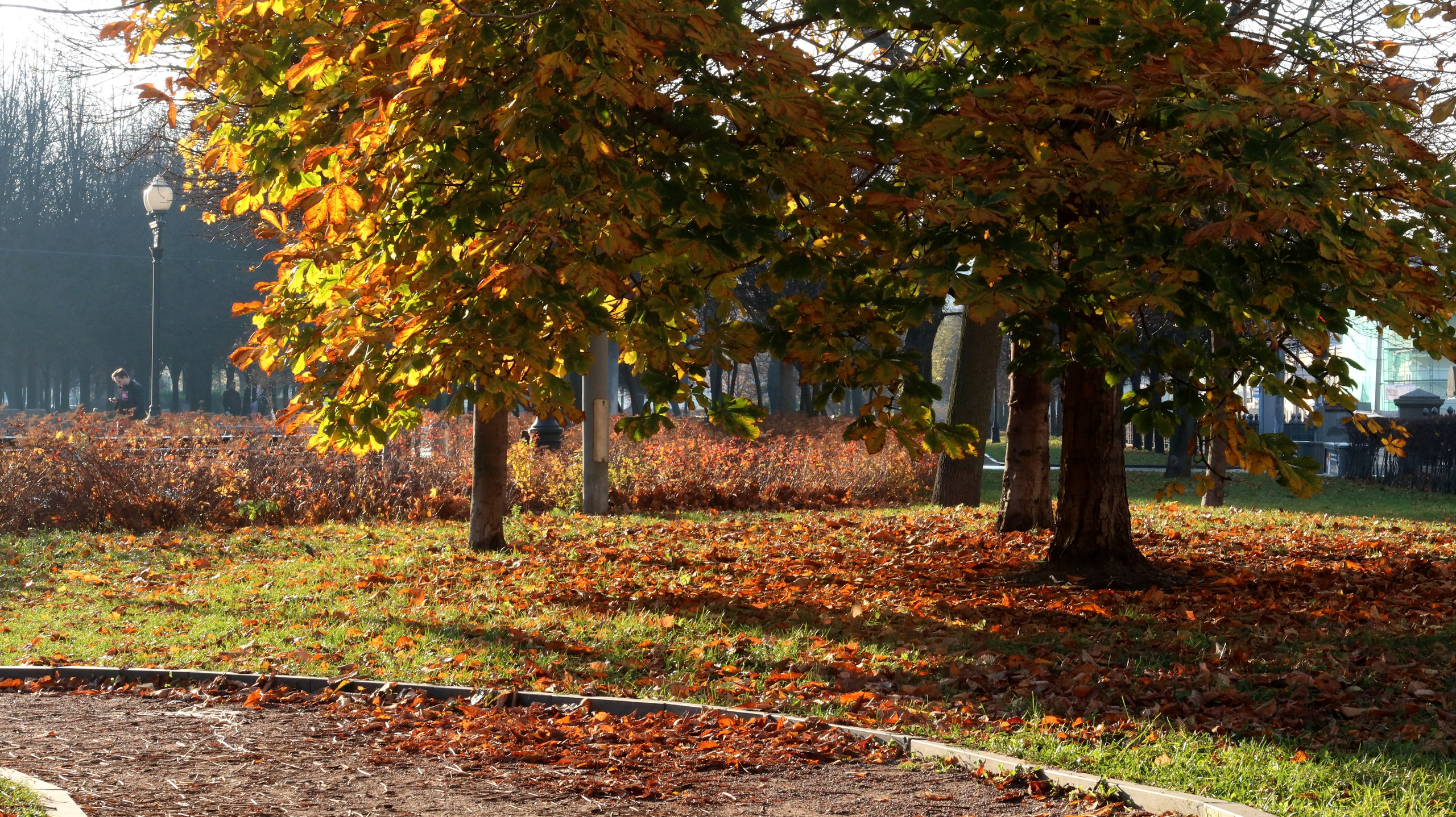 Цветной бульвар 2021. Улица, люди, жизнь…
