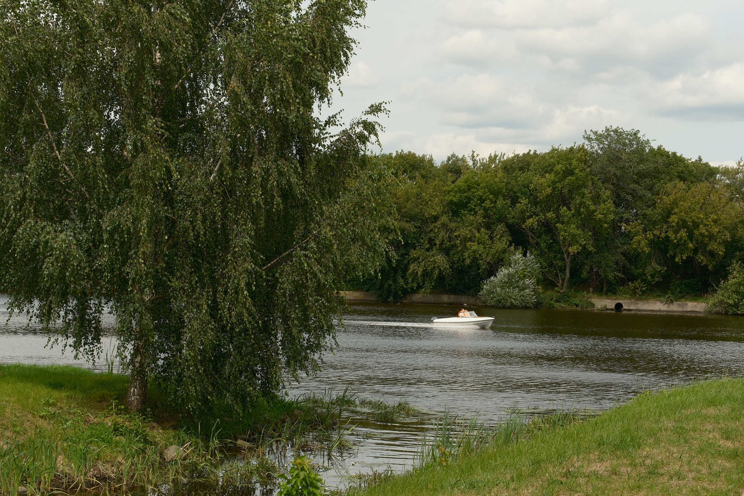Коломенское 16.08.2025. Улица, люди, жизнь…
