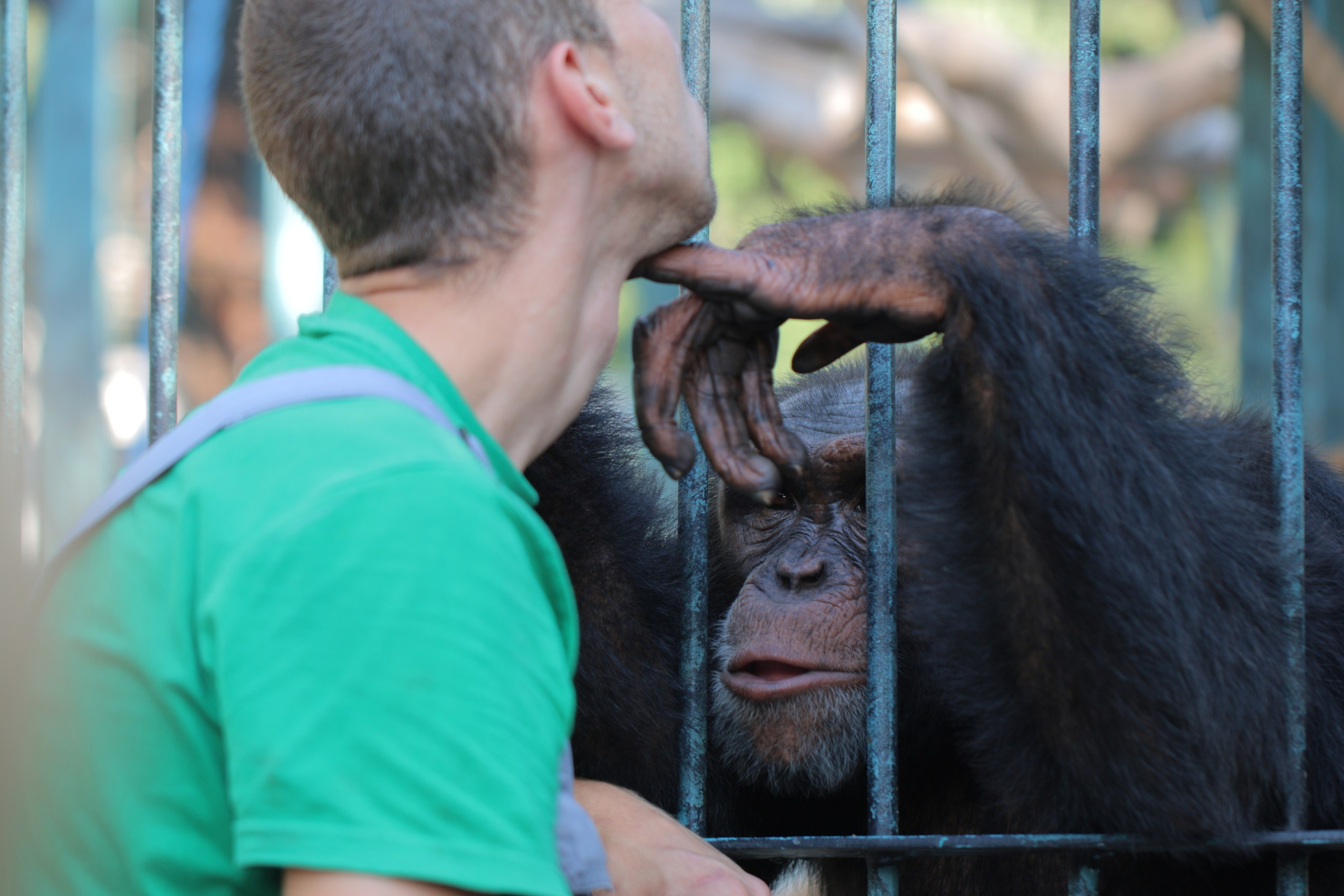 Крым 2018 г. Улица, люди, жизнь…