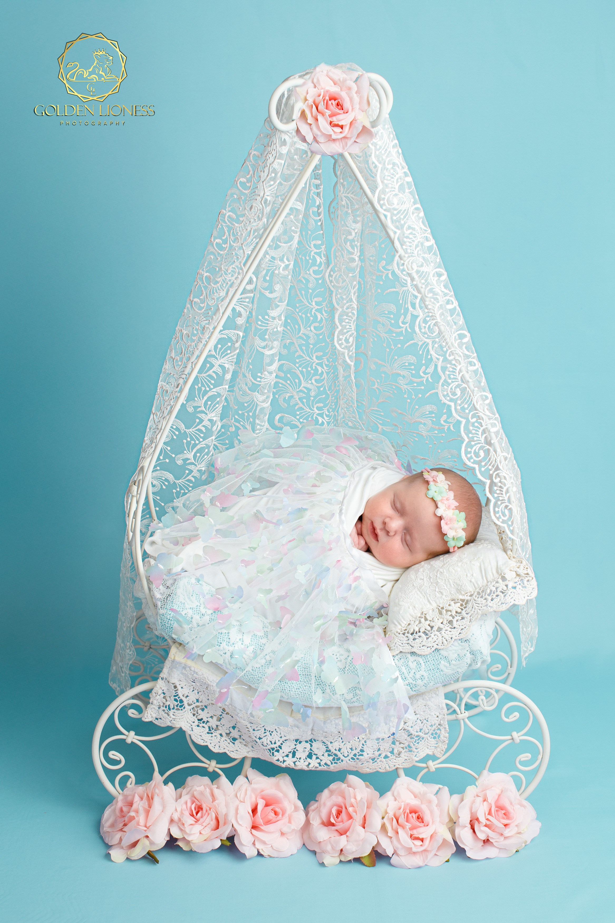 Галерея. GoldenLioness | Фотосессия новорожденных детей (newborn) Москва