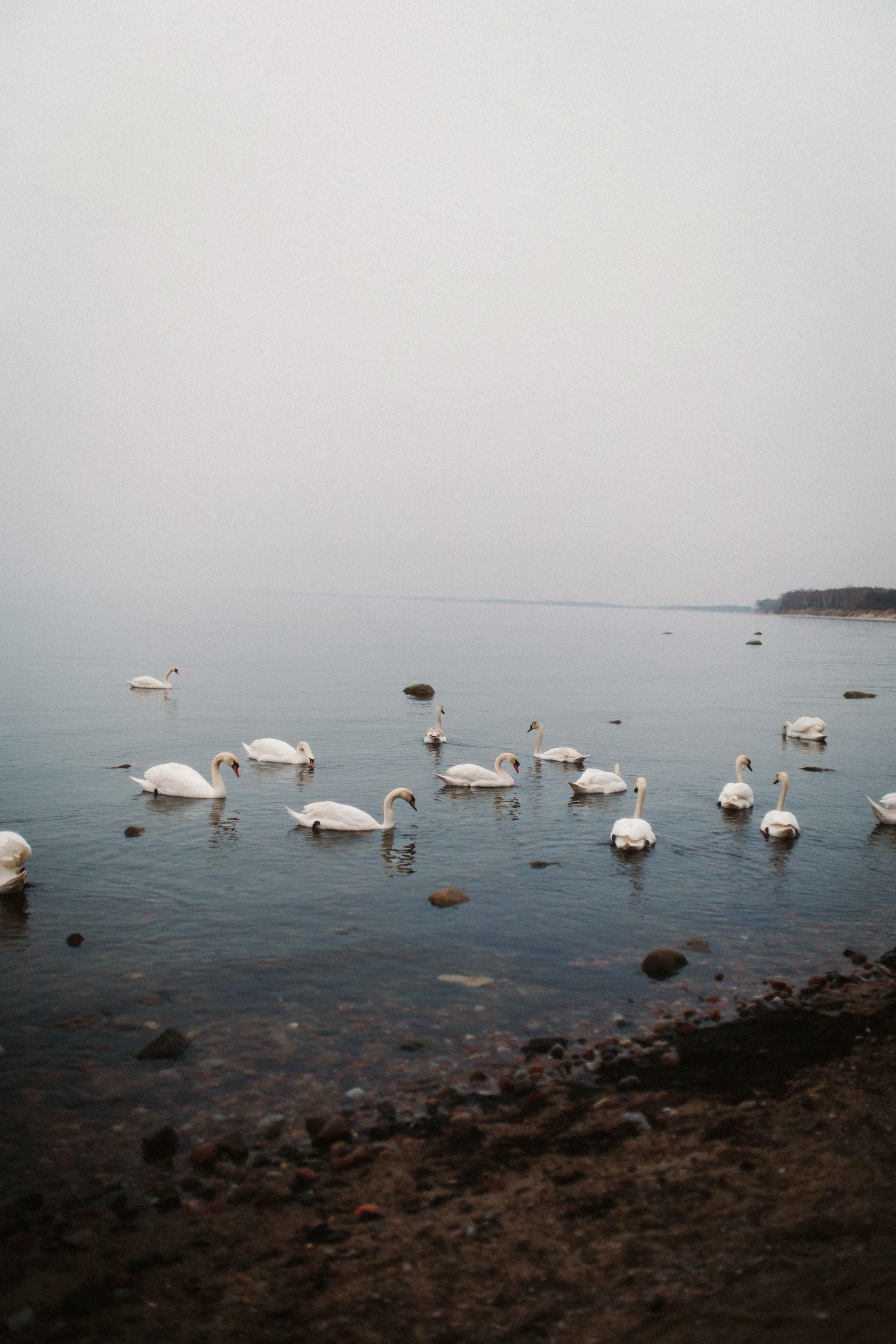 Raya. Свадебный и портретный фотограф в Калининграде и Москве Марк Юдинцев
