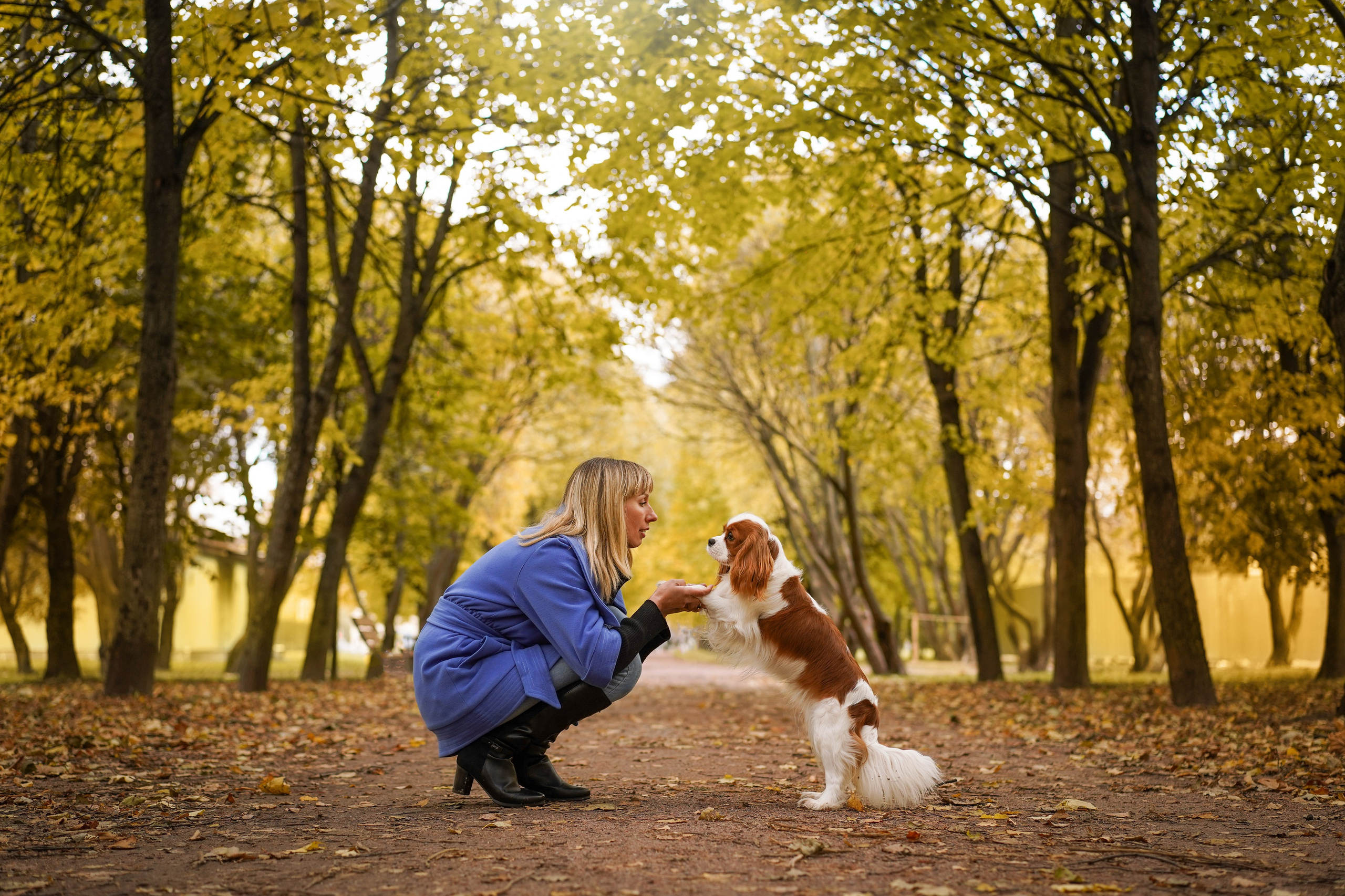 Катя Валера Саша и кавалерчики. Фотограф-анималист в Санкт-Петербурге Яна Мартынова