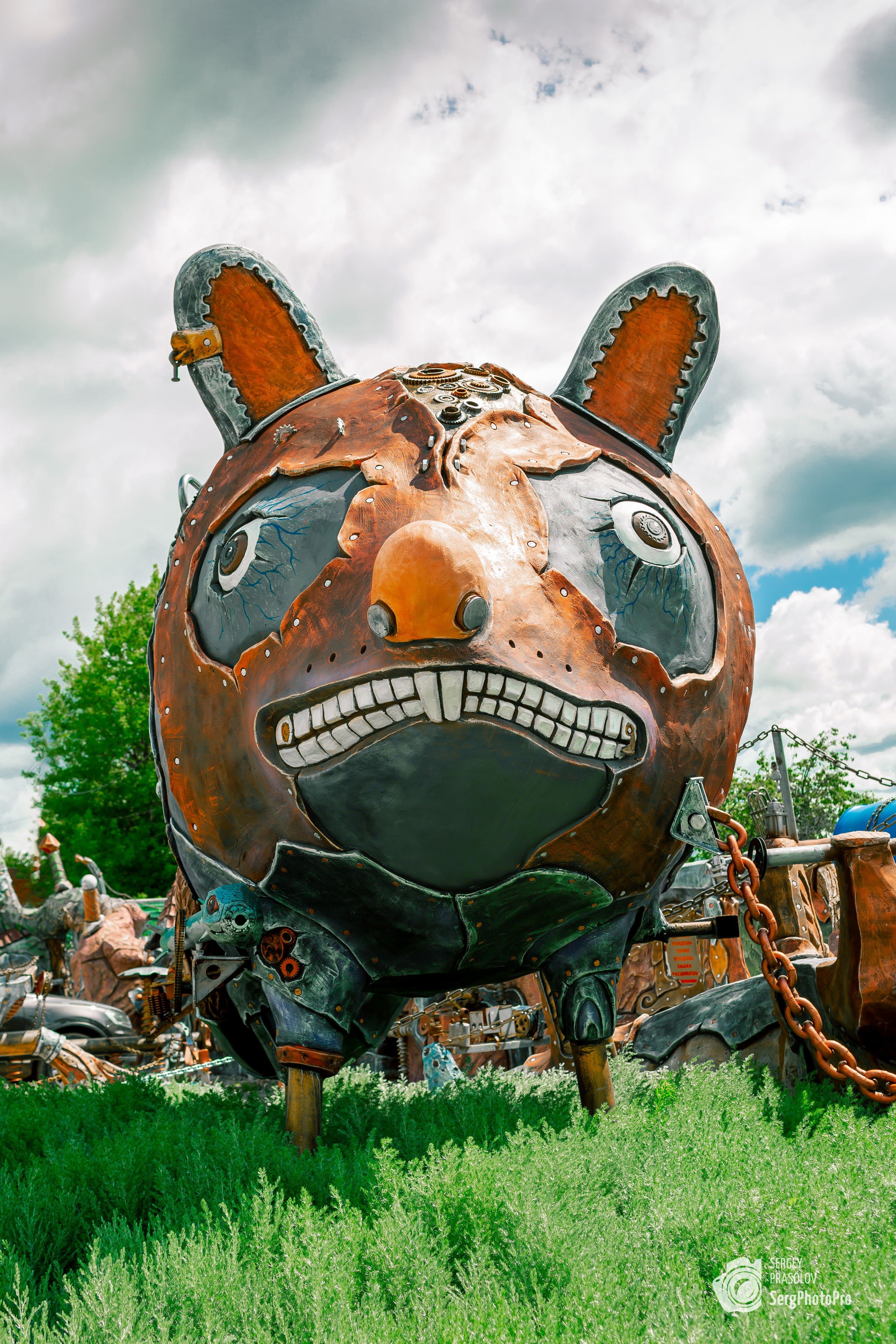 Фотографии "Вихляндии" в Козельске, Калужской области