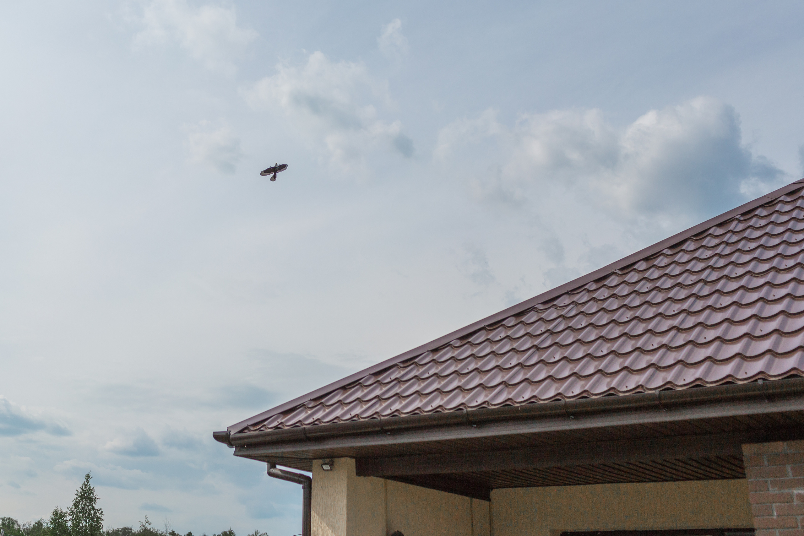 Портфолио фотографий детских праздников