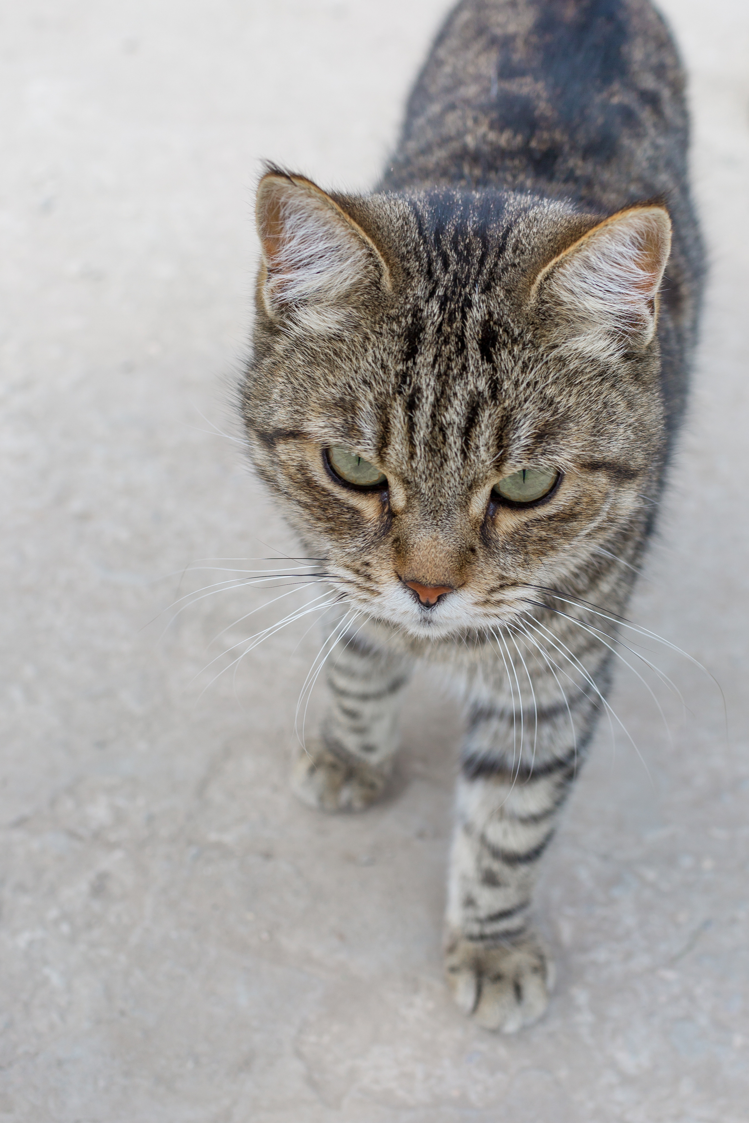 Портфолио фотографий детских праздников