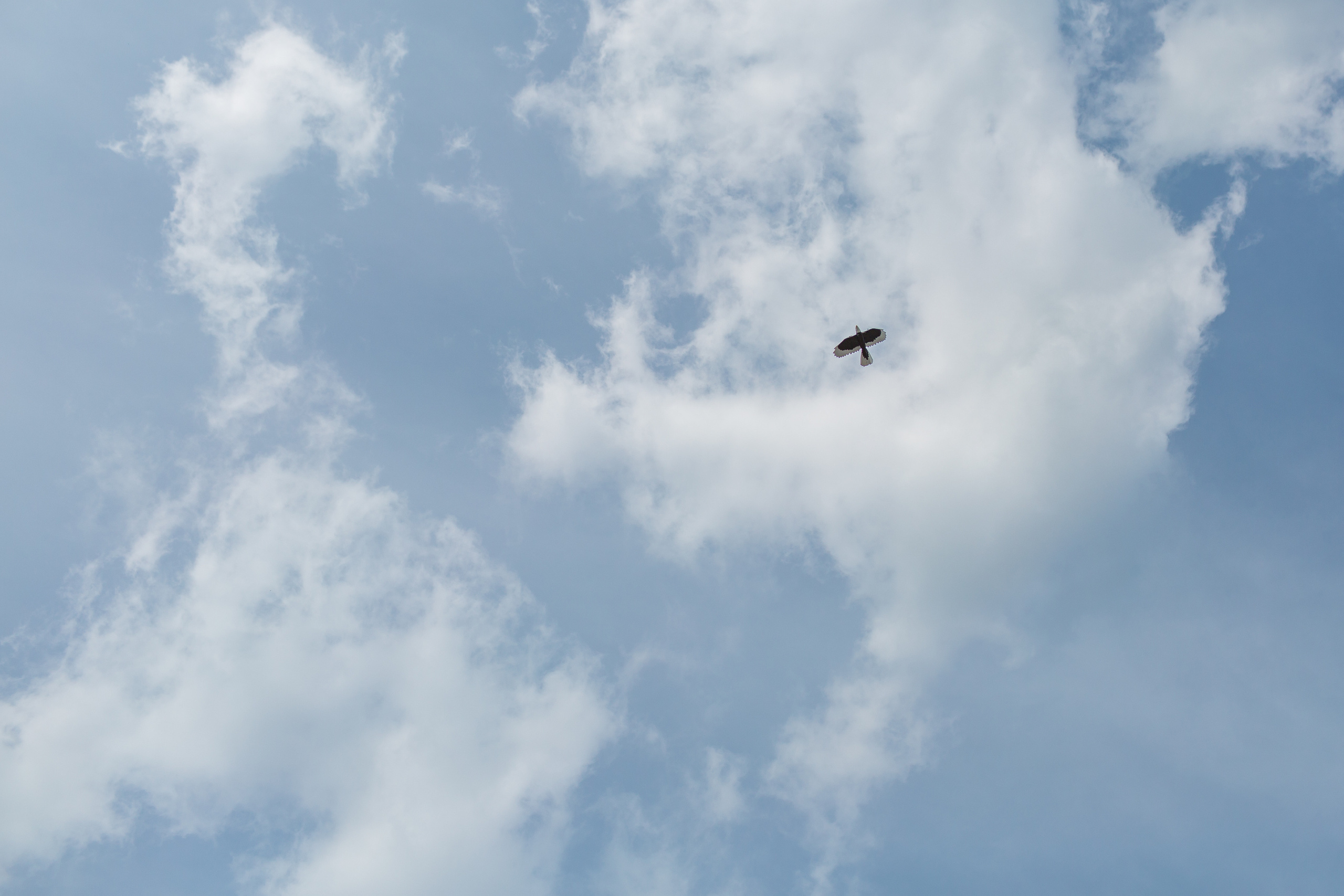 Портфолио фотографий детских праздников