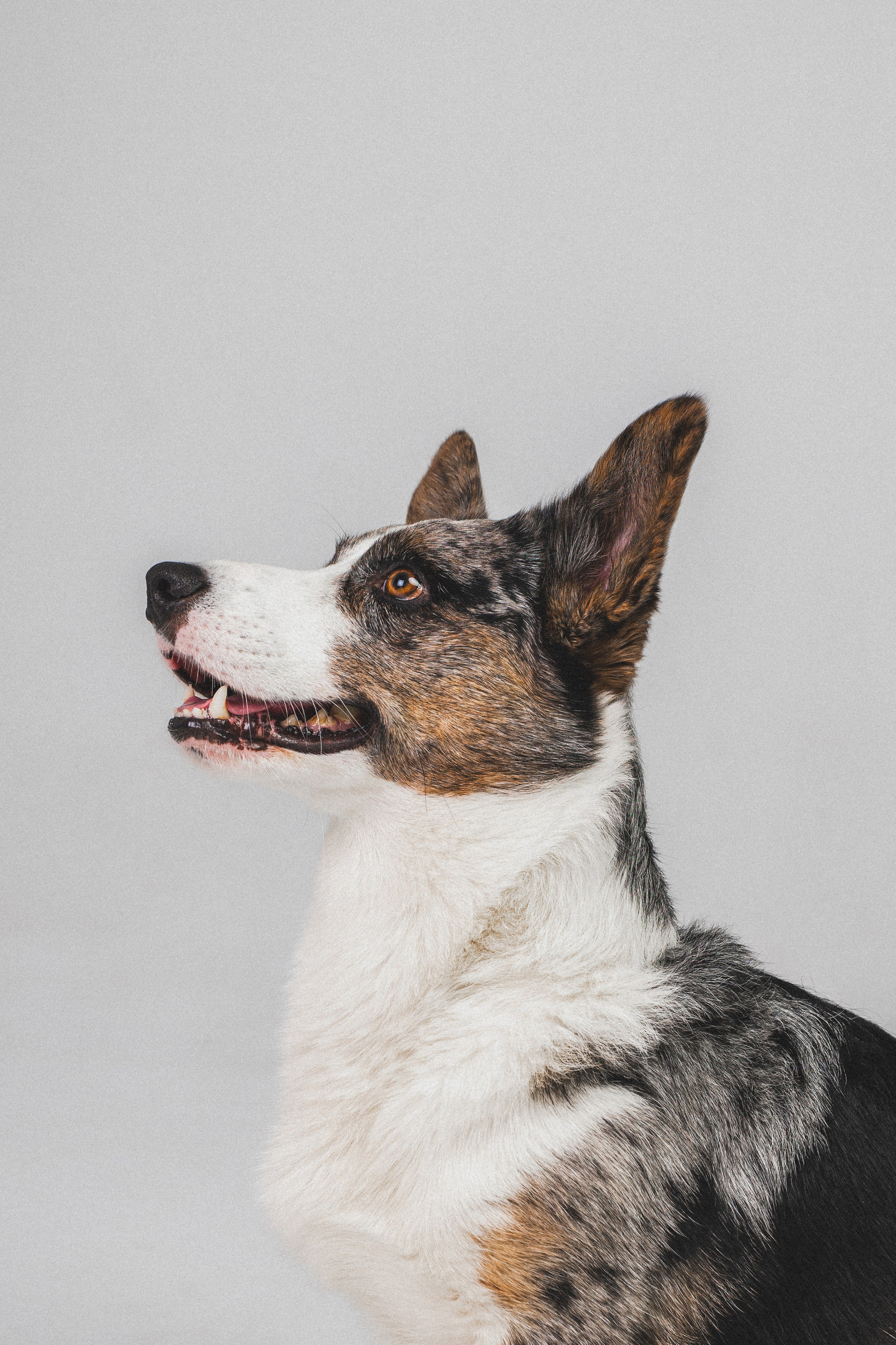 Анатолий и Рагнар