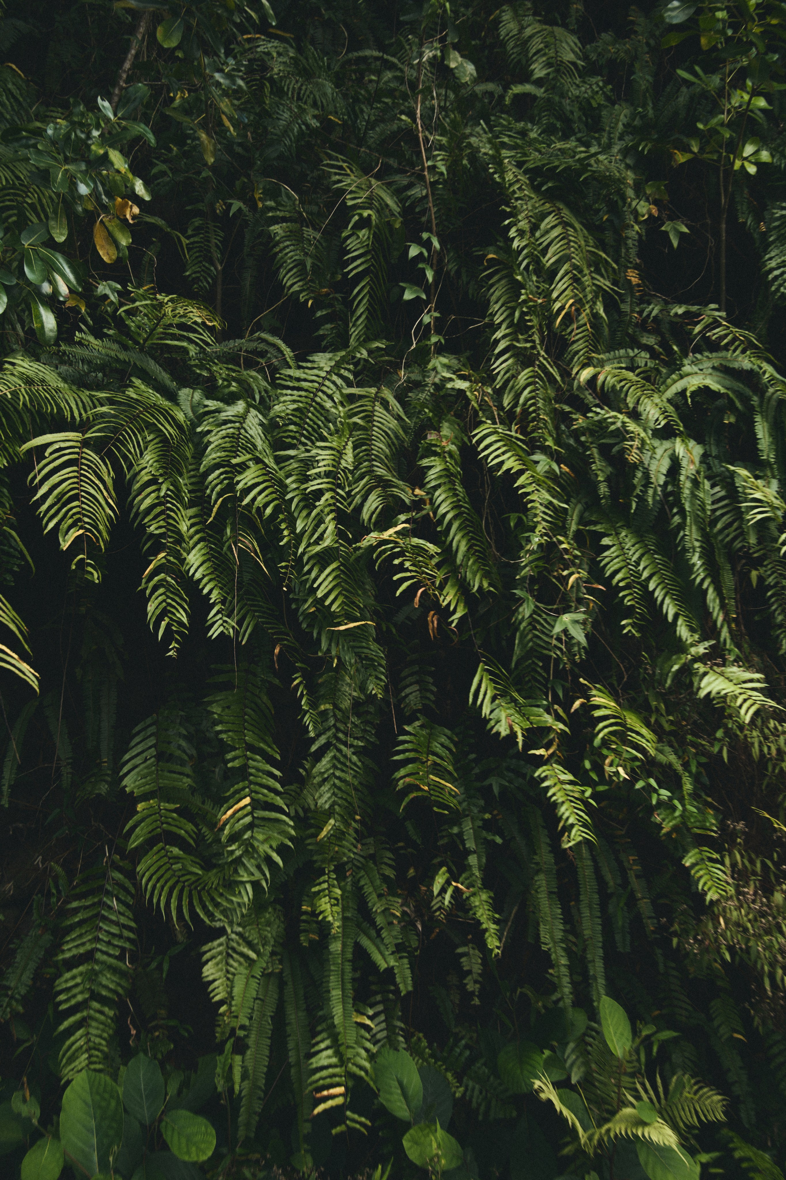 U Magazine x Выездная редакция. Фотограф Сурков Никита