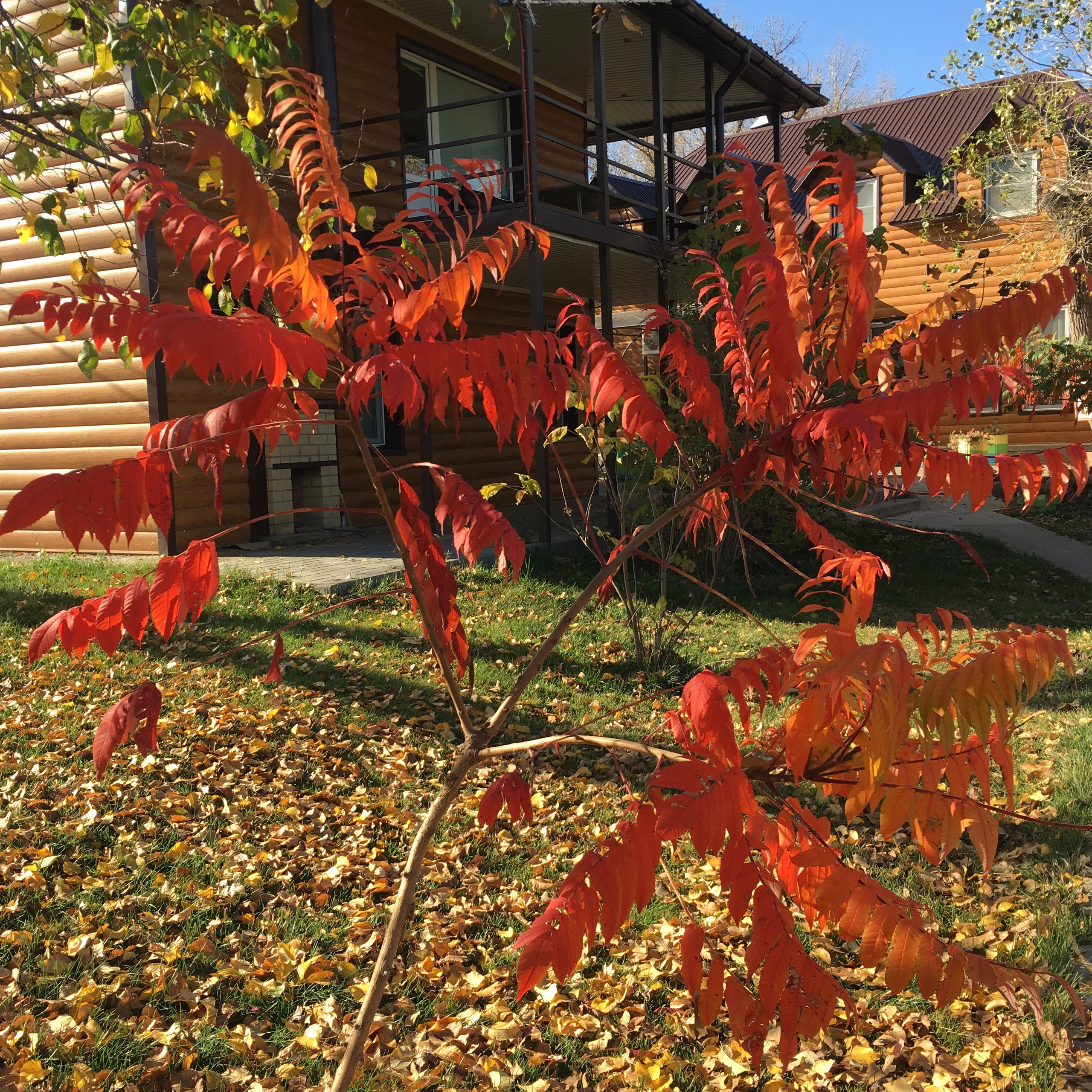 Астрахань-19. Своя Мастерская