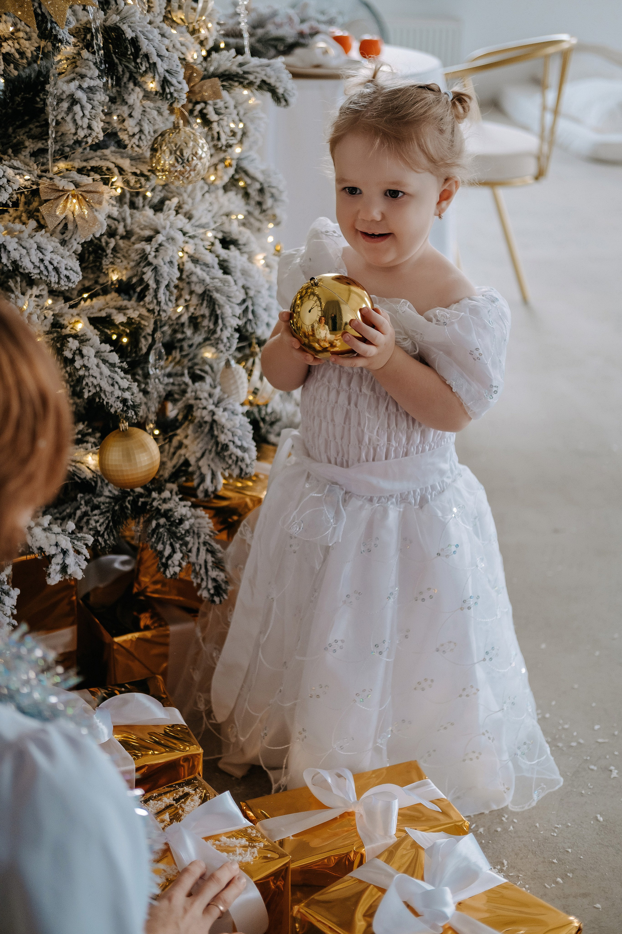 Новый год. Фотограф Москва, Смоленск