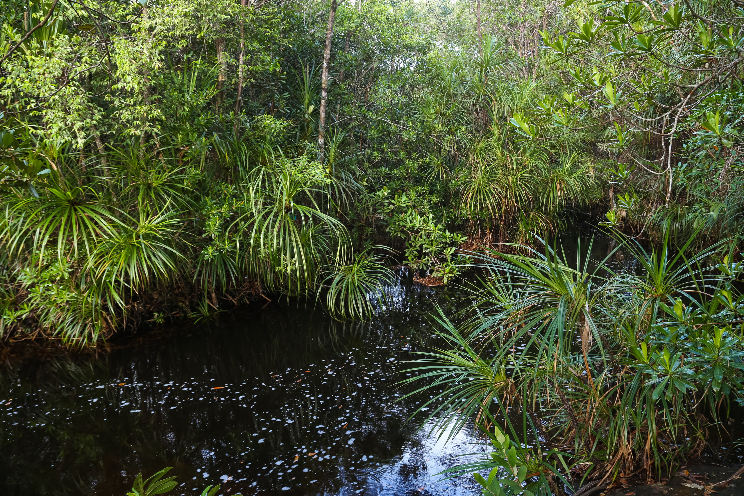 Остров Фукуок, Вьетнам. Фотограф Сергей Кишкель Дананг Нячанг Фукуок