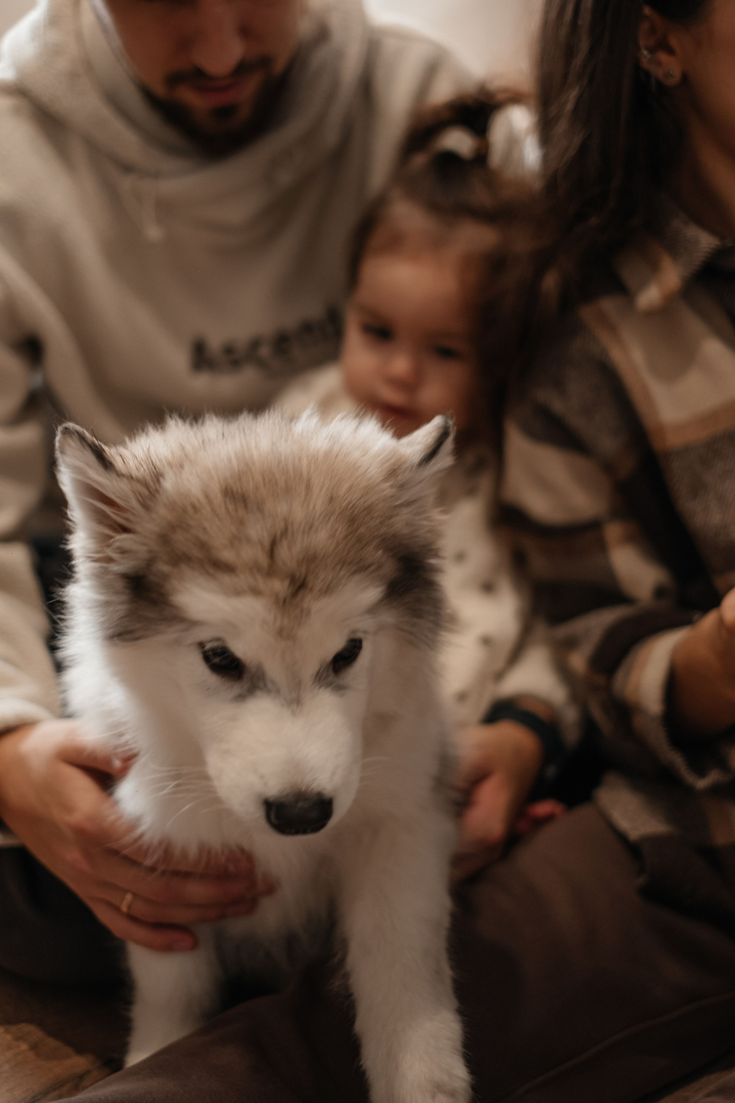 Катя, Саша и Еся | домашняя съемка. Фотограф в Новосибирске Диана Ильиных