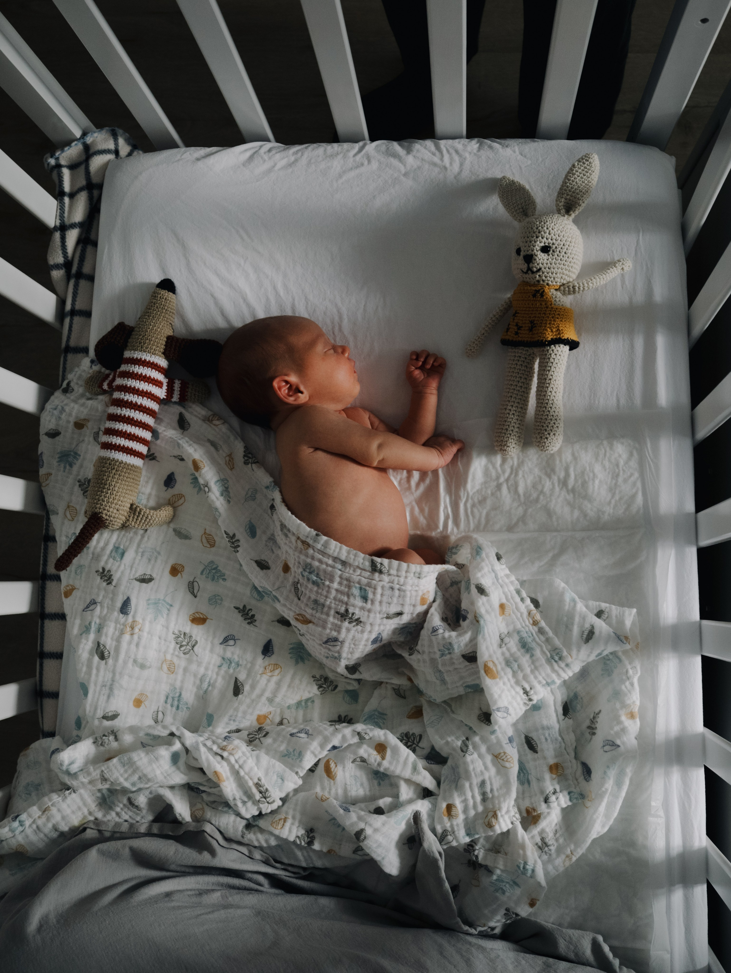 Пополнение. Алёна Стерхова — Предметный и портретный фотограф. Ижевск