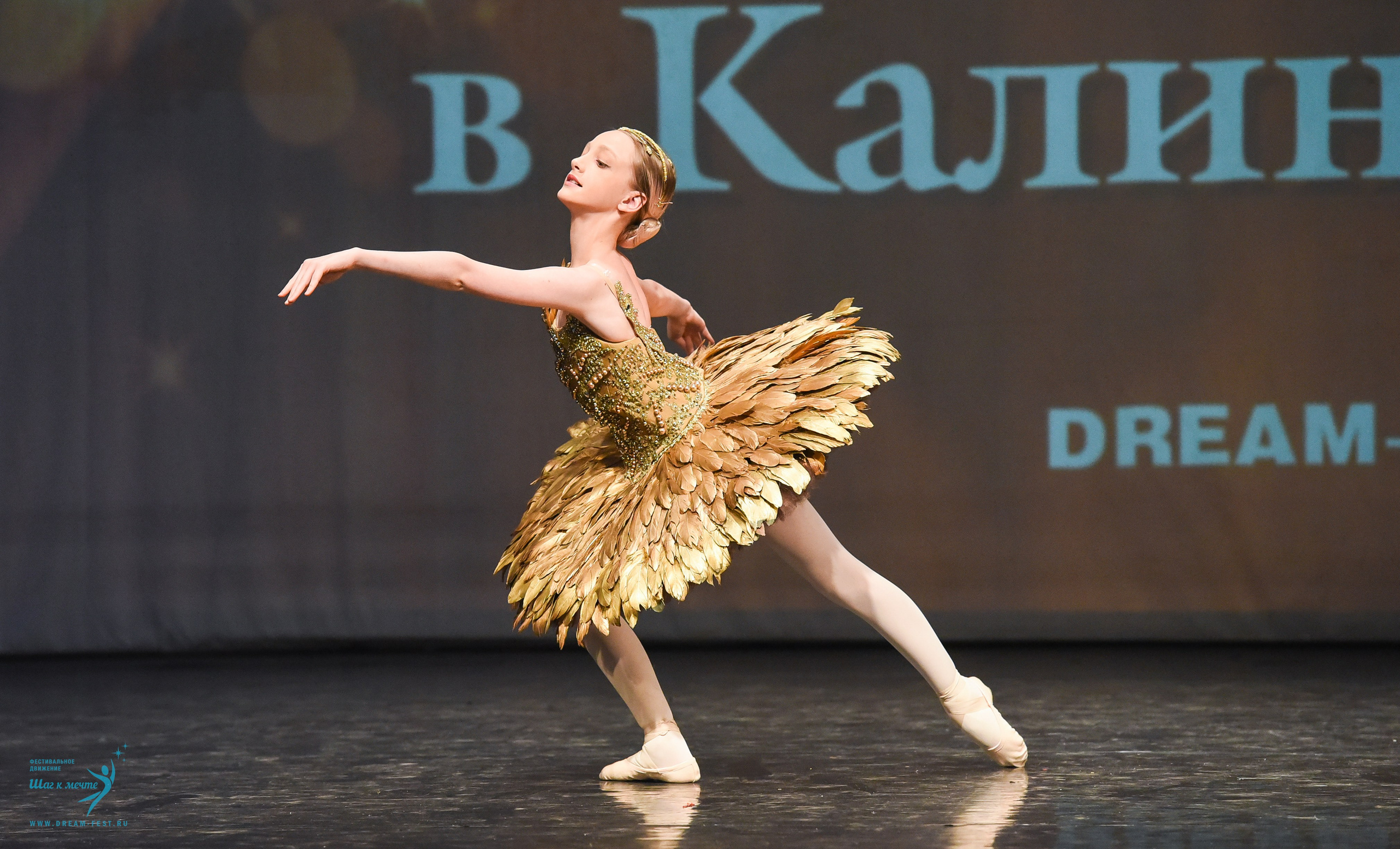 22.03.2025 Фестивальное движение «Шаг к мечте» г. Калининград. Медиастудия Фото Концепт