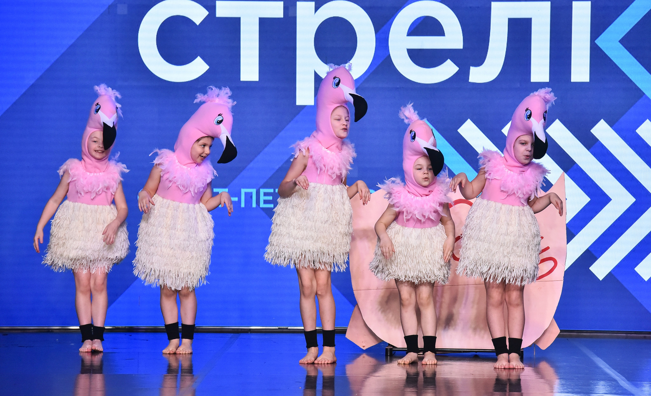 29.03.2025 «АртКомпас» Всероссийский фестиваль хореографии «Стрелка» г. СПБ. Медиастудия Фото Концепт