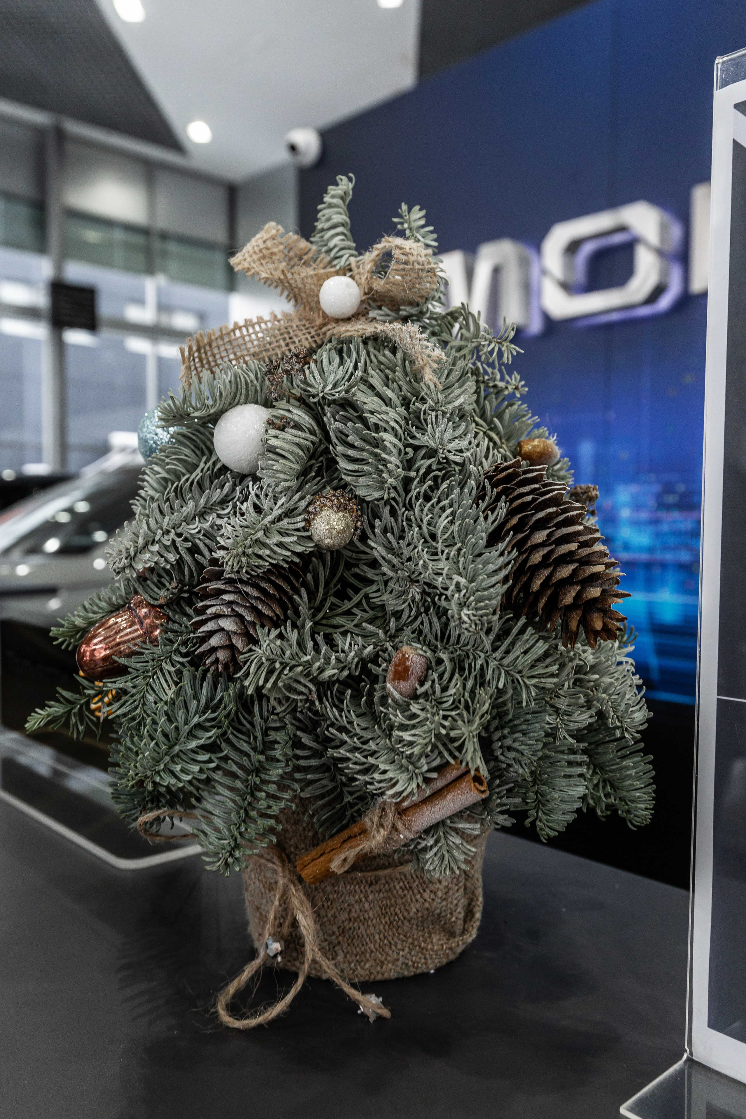 Jaecoo J7 5.0. Фотограф в Самаре / Олеся Широнина