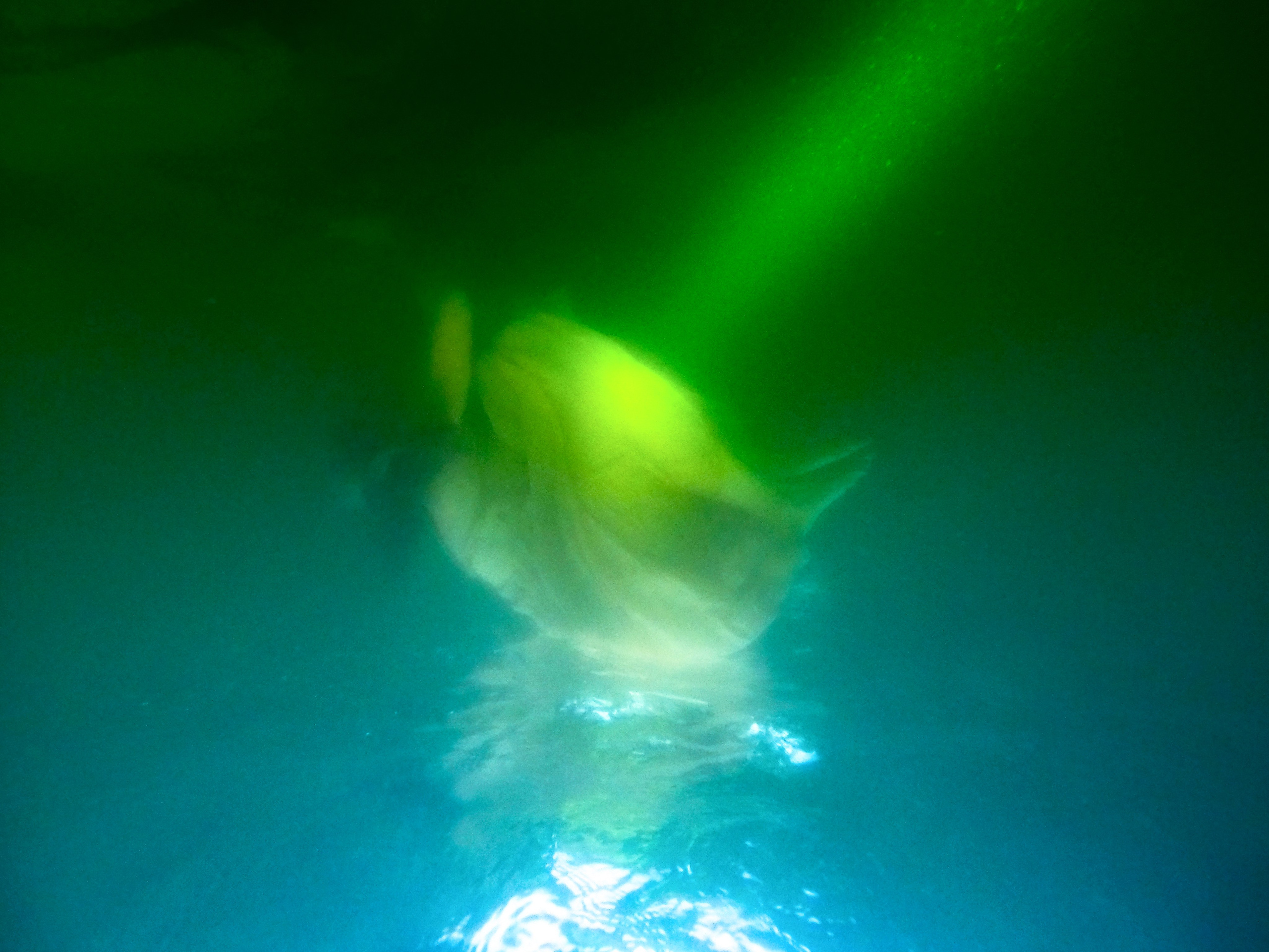 Вода и Оля. Фотограф Коробова Екатерина